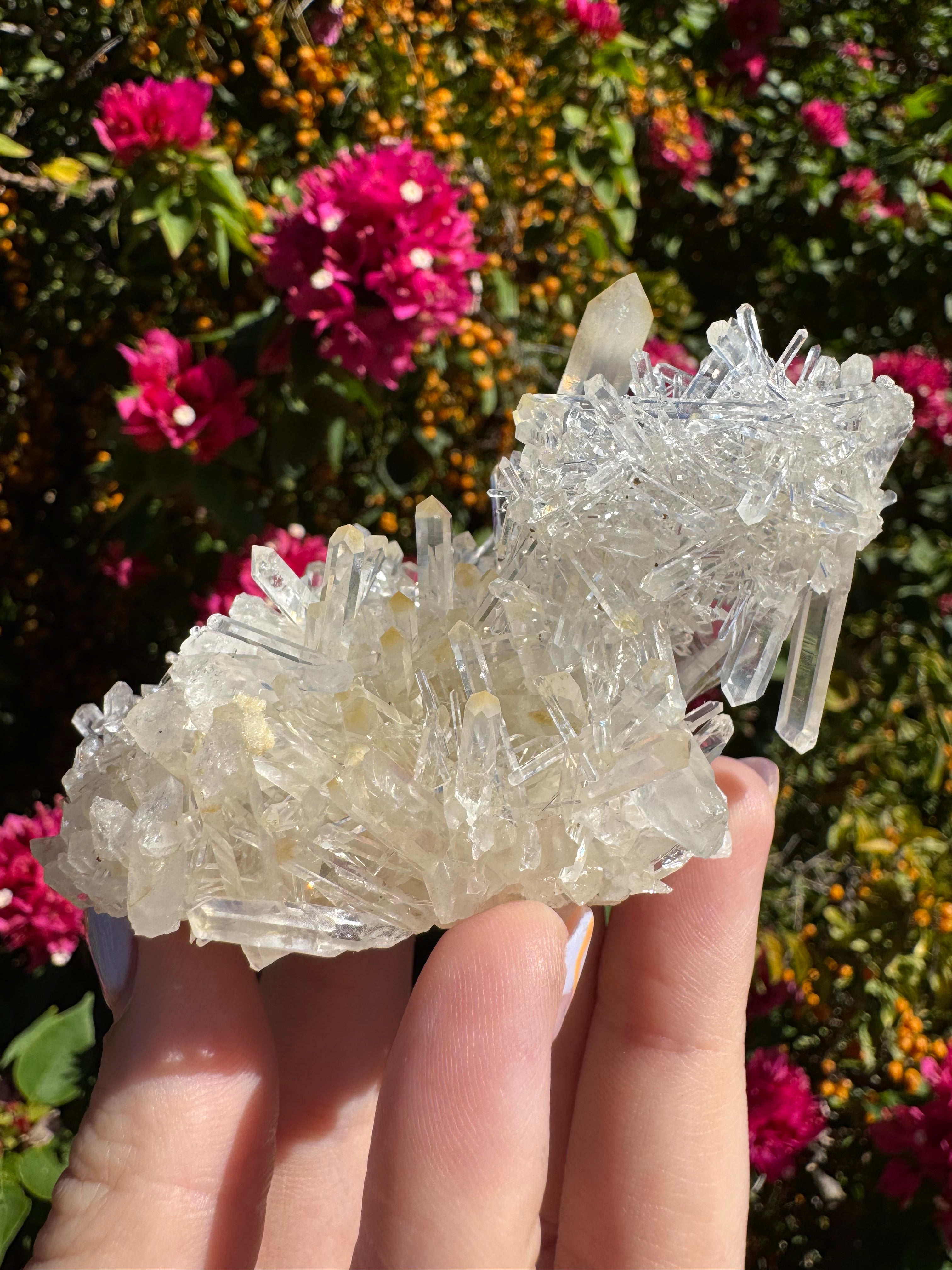 Lemurian ‘Mango’ Quartz Cluster