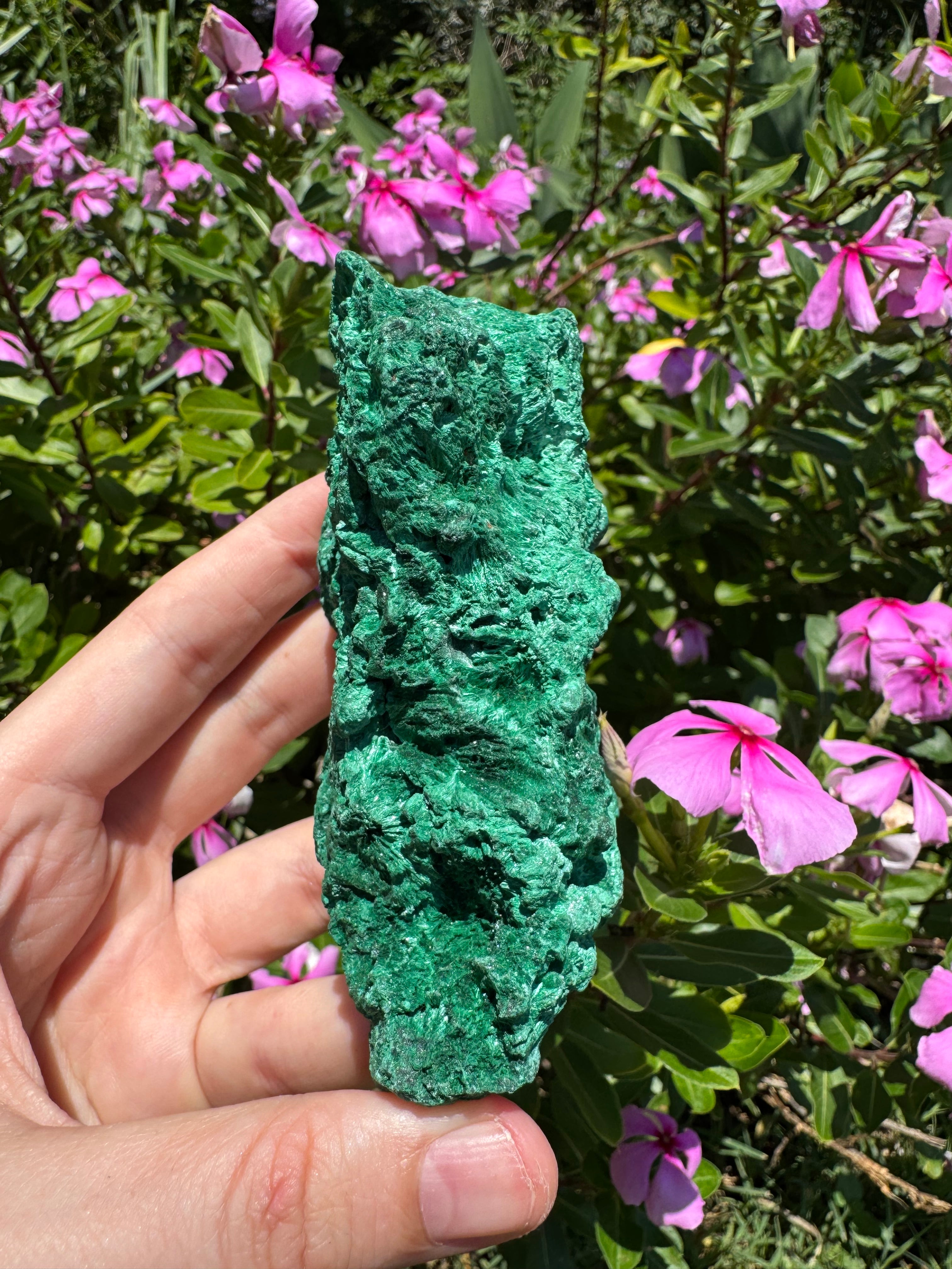 Malachite ‘Fibrous’ Specimen