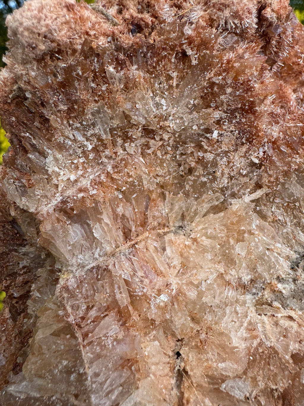 Red Selenite ‘Gypsum’ Specimen - Port Hedland