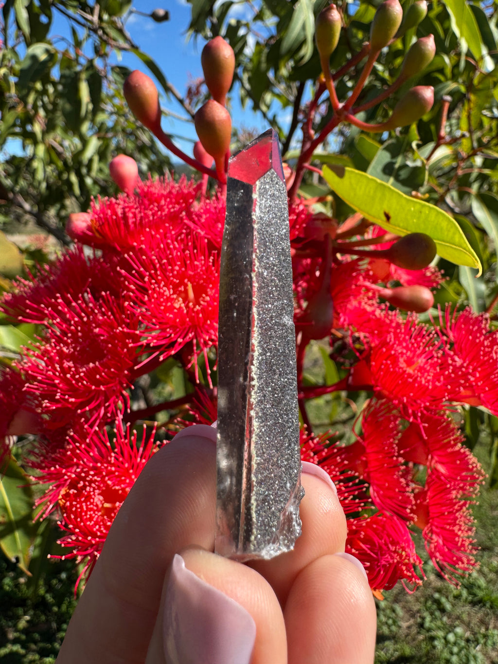 Hematite Coated Quartz Point