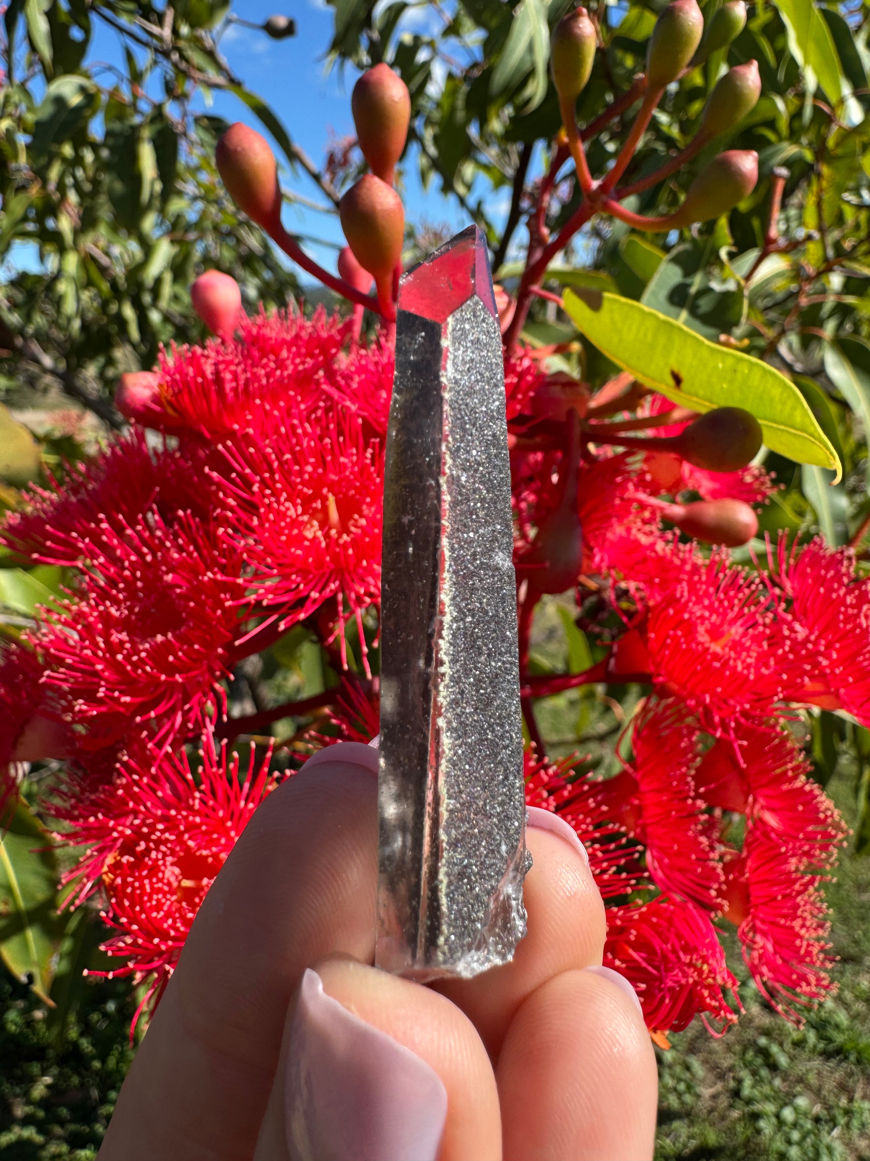 Hematite Coated Quartz Point