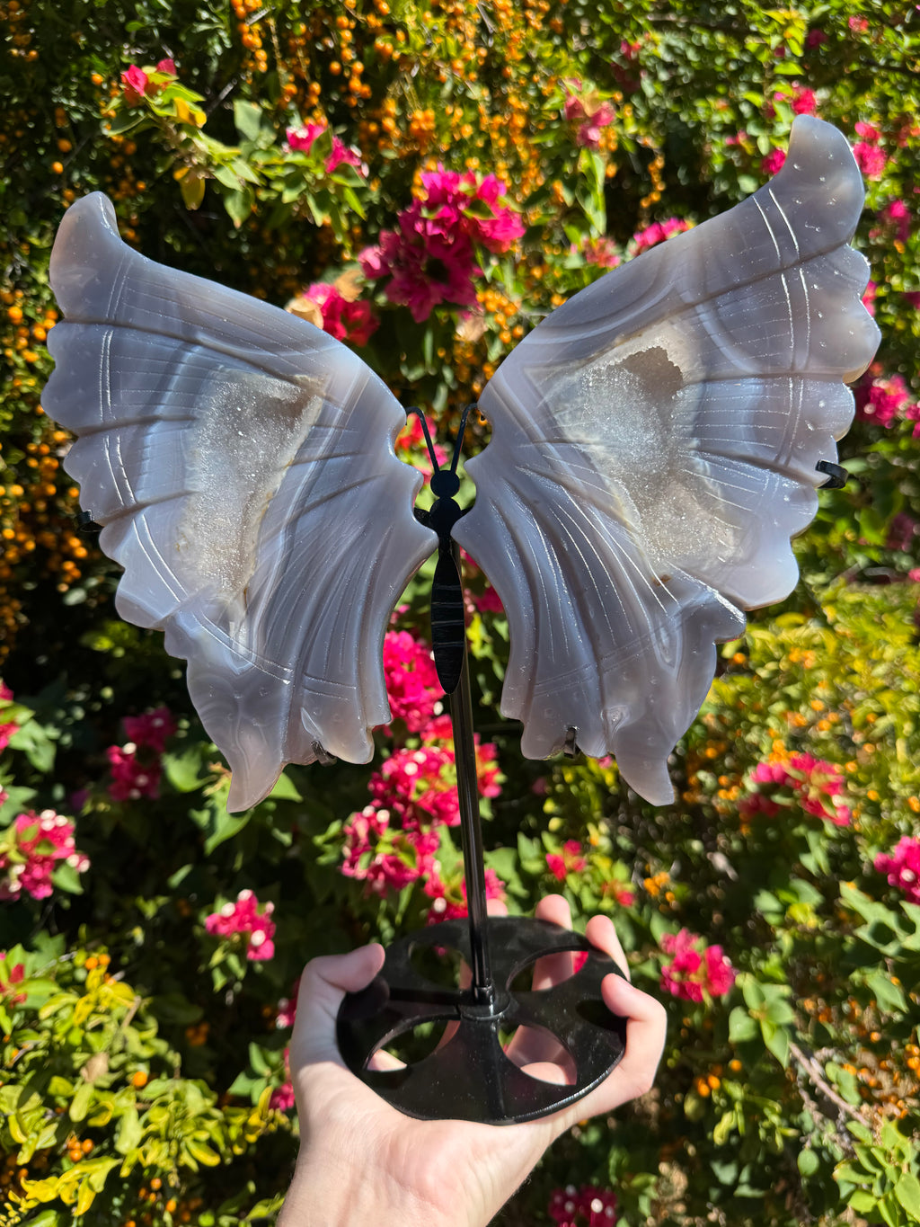 Druzy Agate Wings on Stand