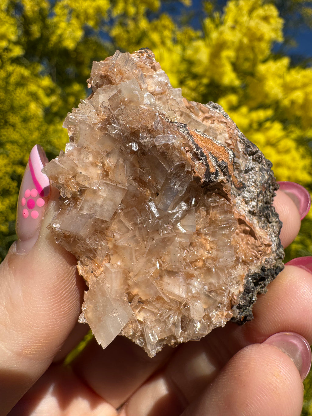Clear Hemimorphite Cluster - Durango Mexico
