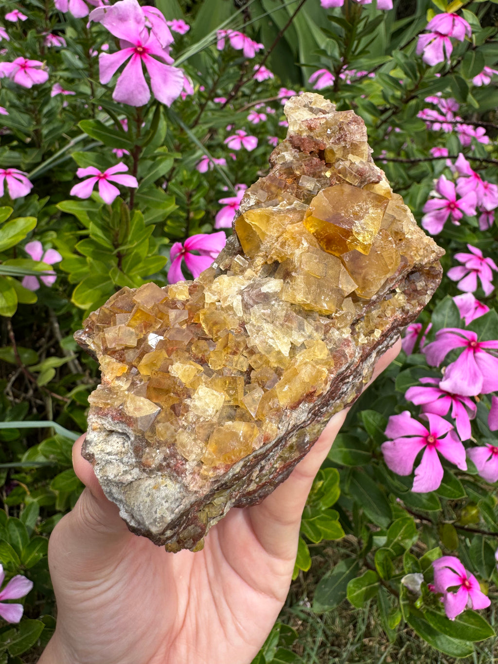 Yellow Cubic Fluorite on Iron-Stained Quartz Specimen