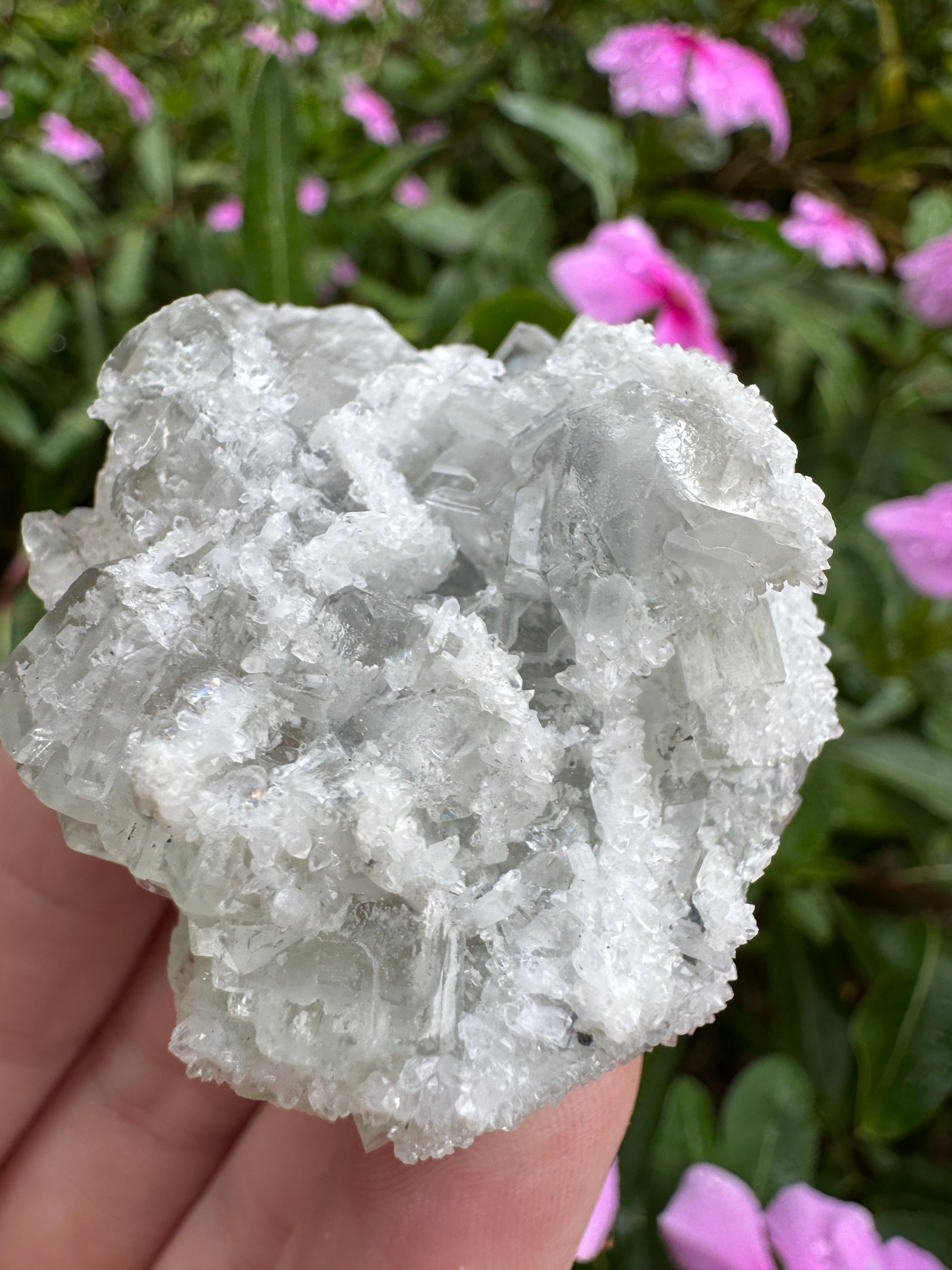 Sugar-Coated Cubic Fluorite Cluster