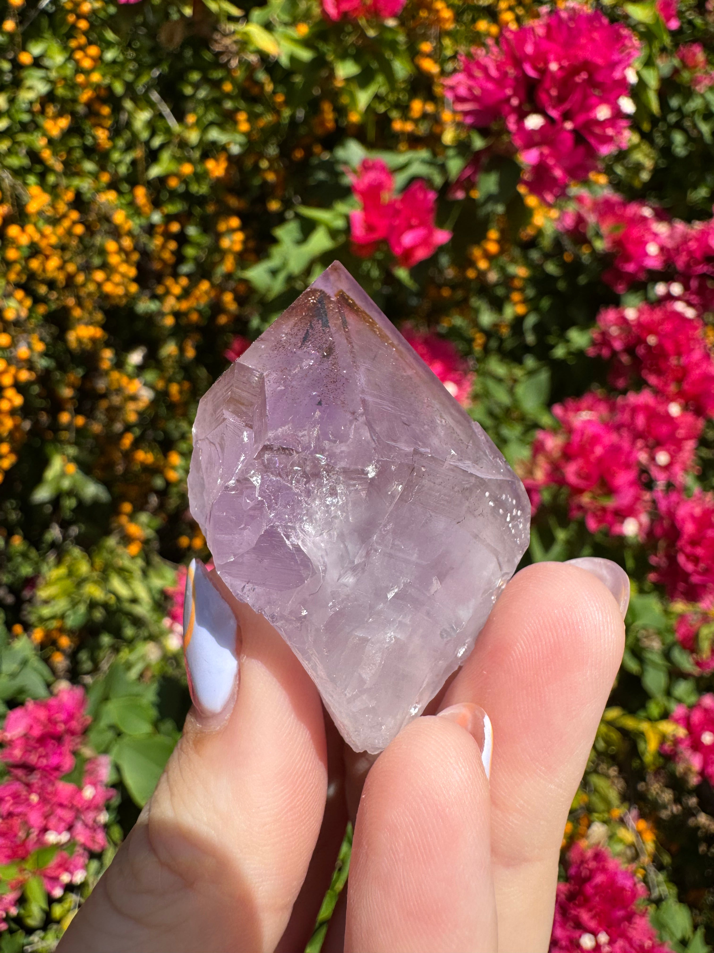 Collector’s Nigerian Phantom Amethyst with Record Keepers