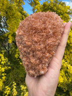 Red Selenite ‘Gypsum’ Specimen - Port Hedland