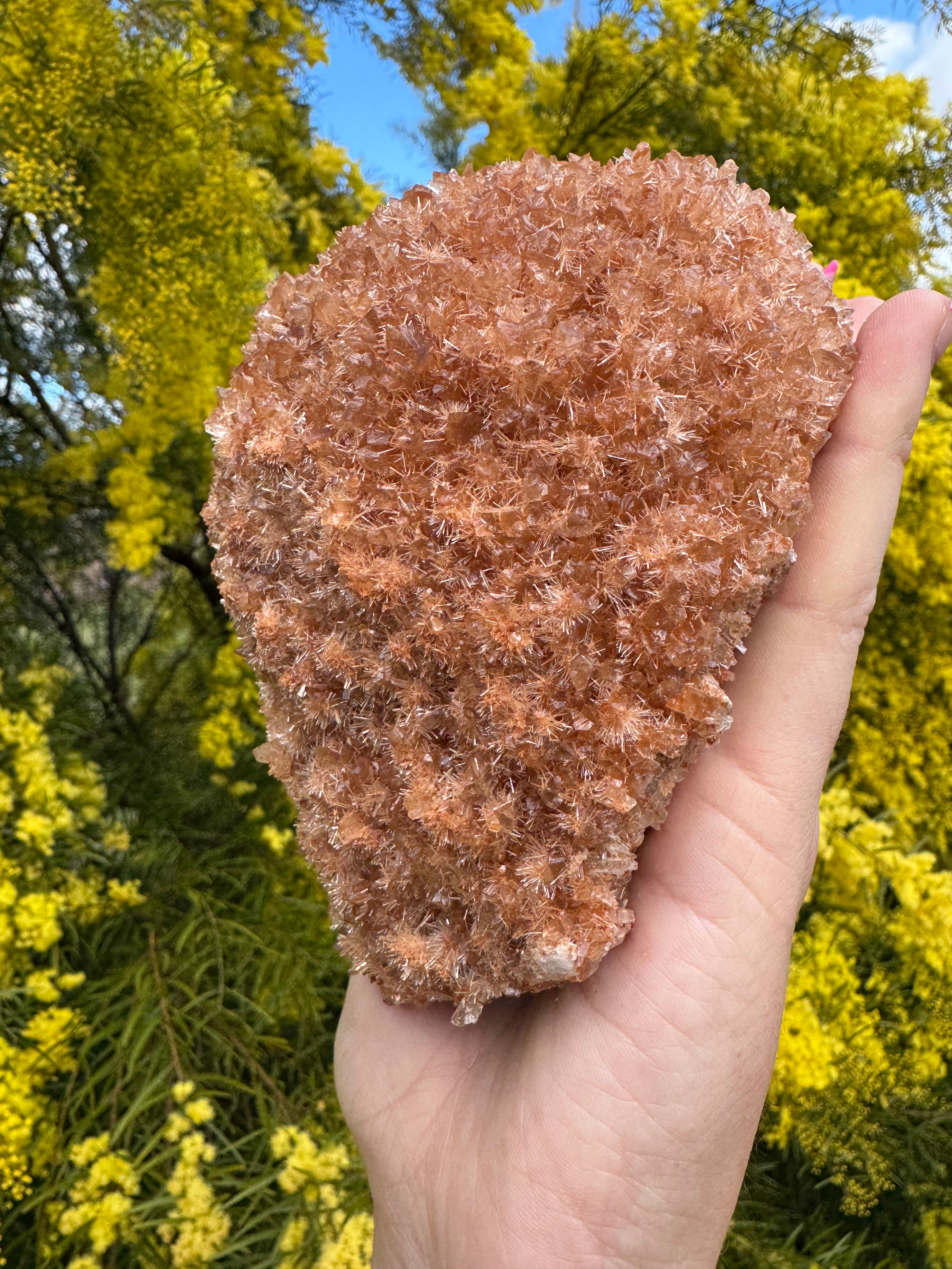 Red Selenite ‘Gypsum’ Specimen - Port Hedland