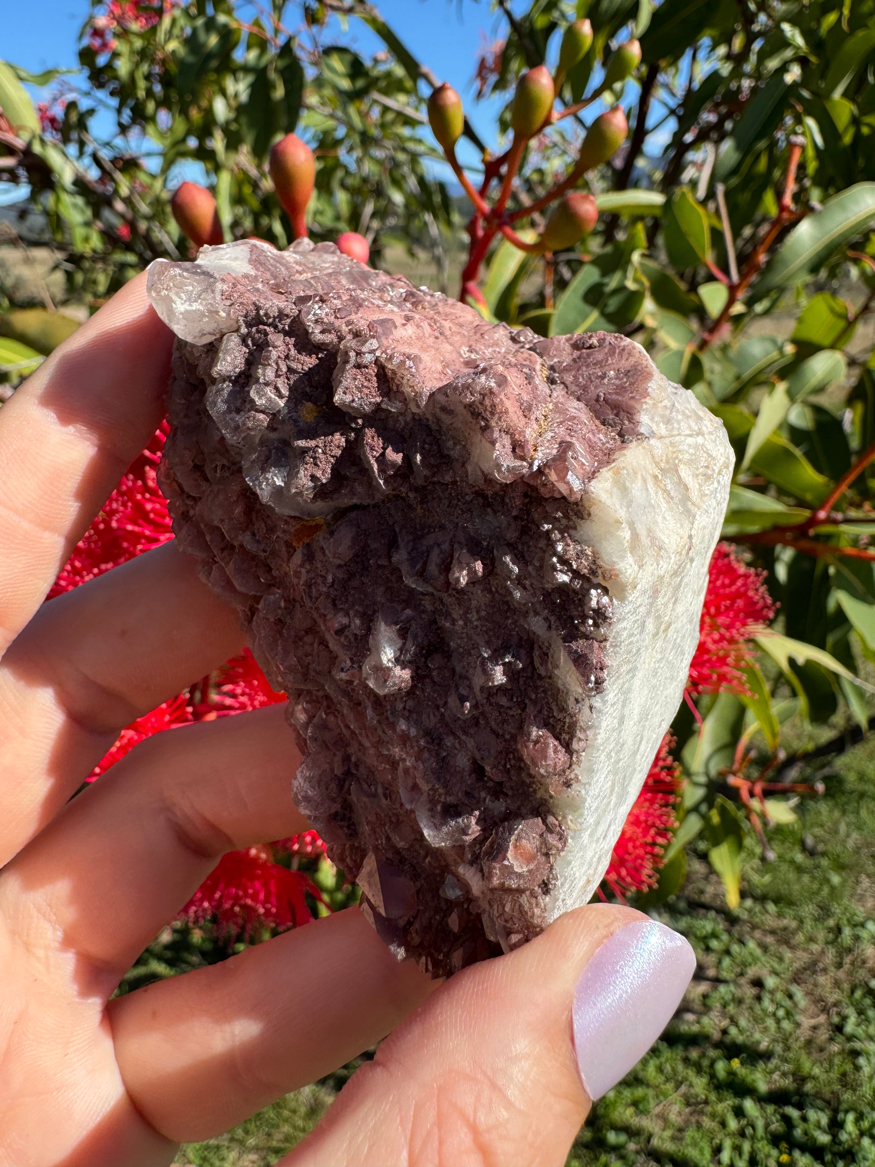 Hematite Coated Smoky Quartz Cluster - Mt Isa