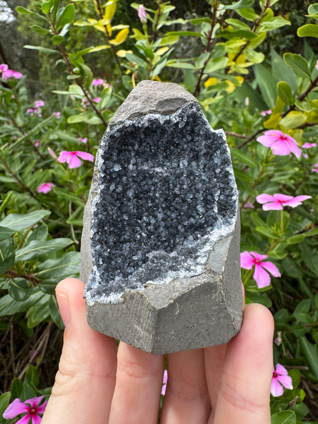 Black Rainbow Amethyst Cluster
