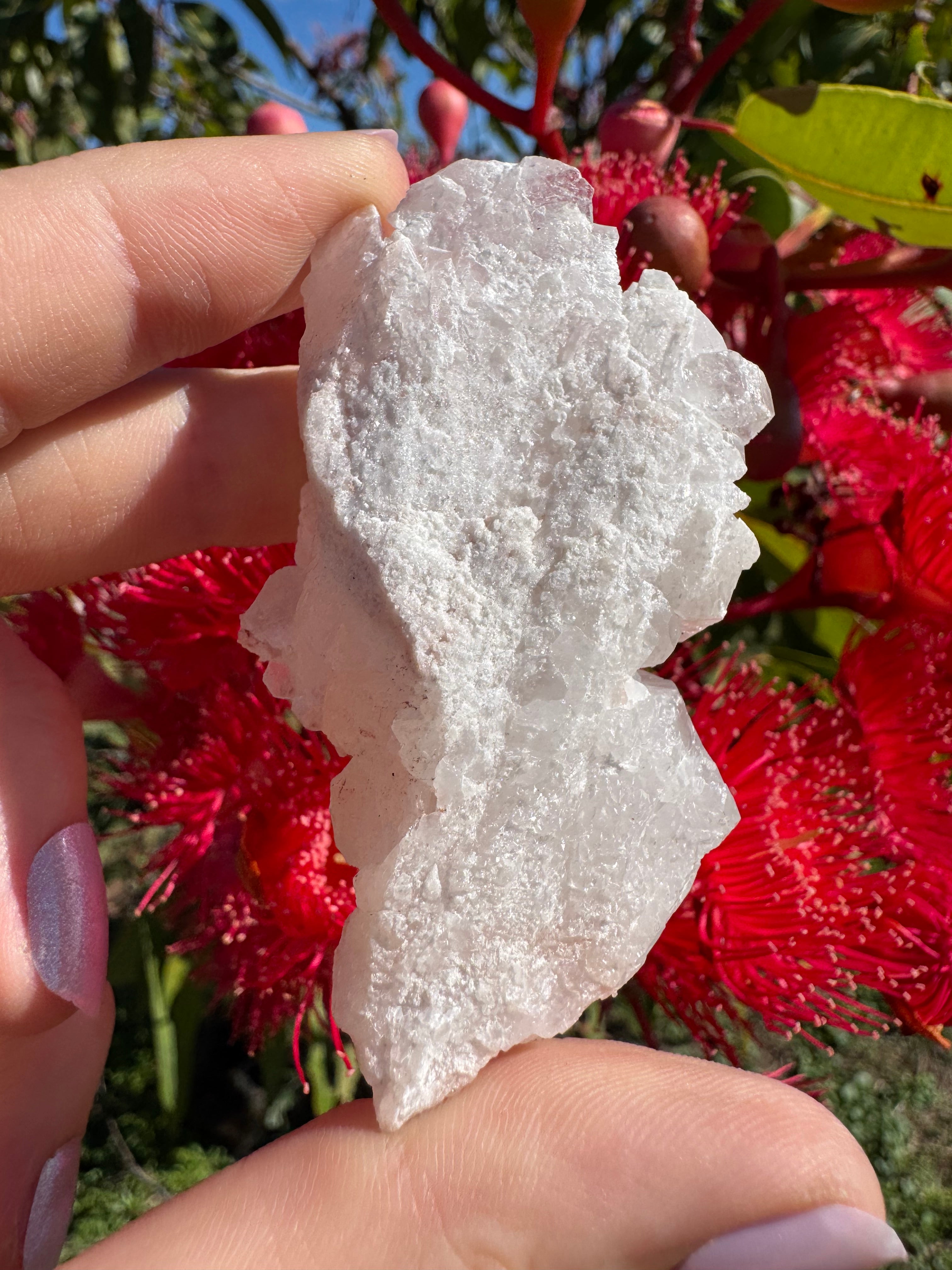 Himalayan Quartz Cluster