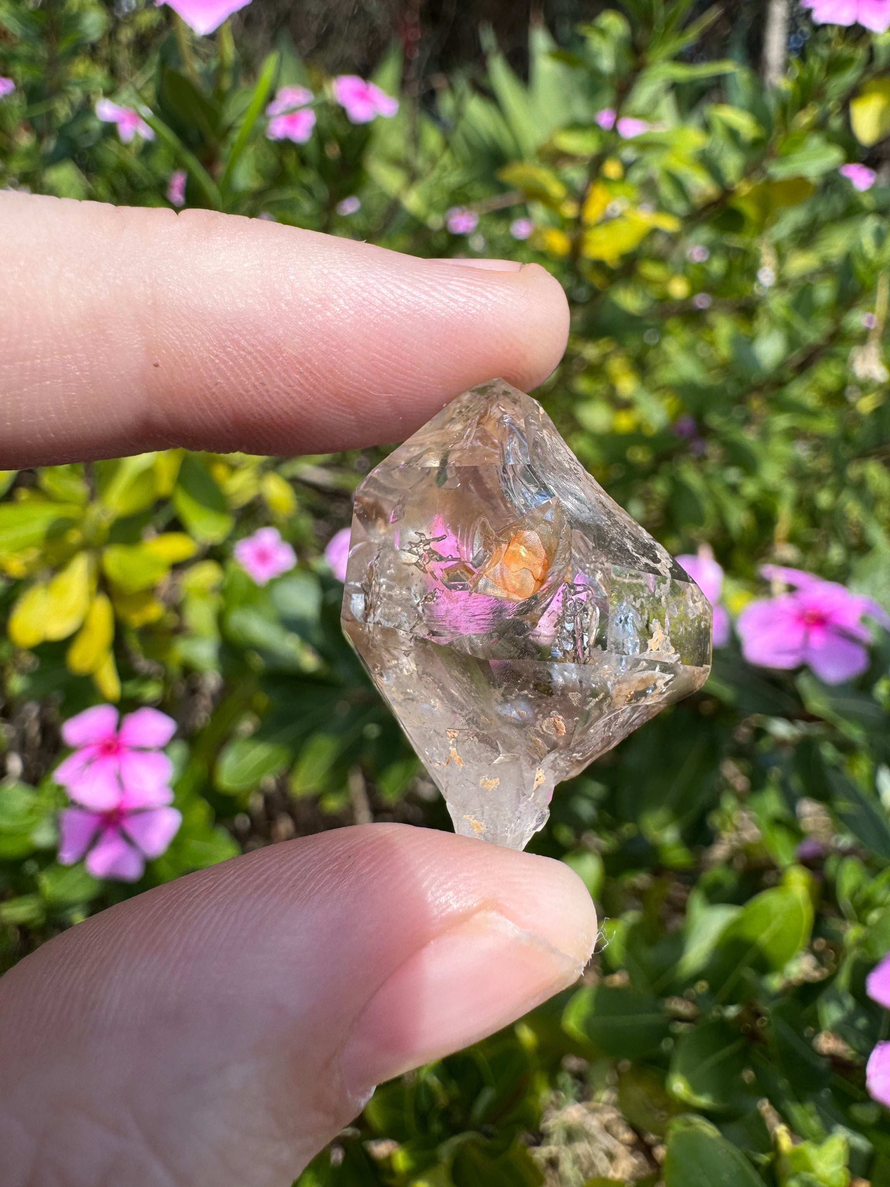 Brandberg Clear Quartz Specimen