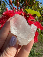 Himalayan Quartz Cluster