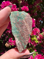Atacamite Specimen | South Australia