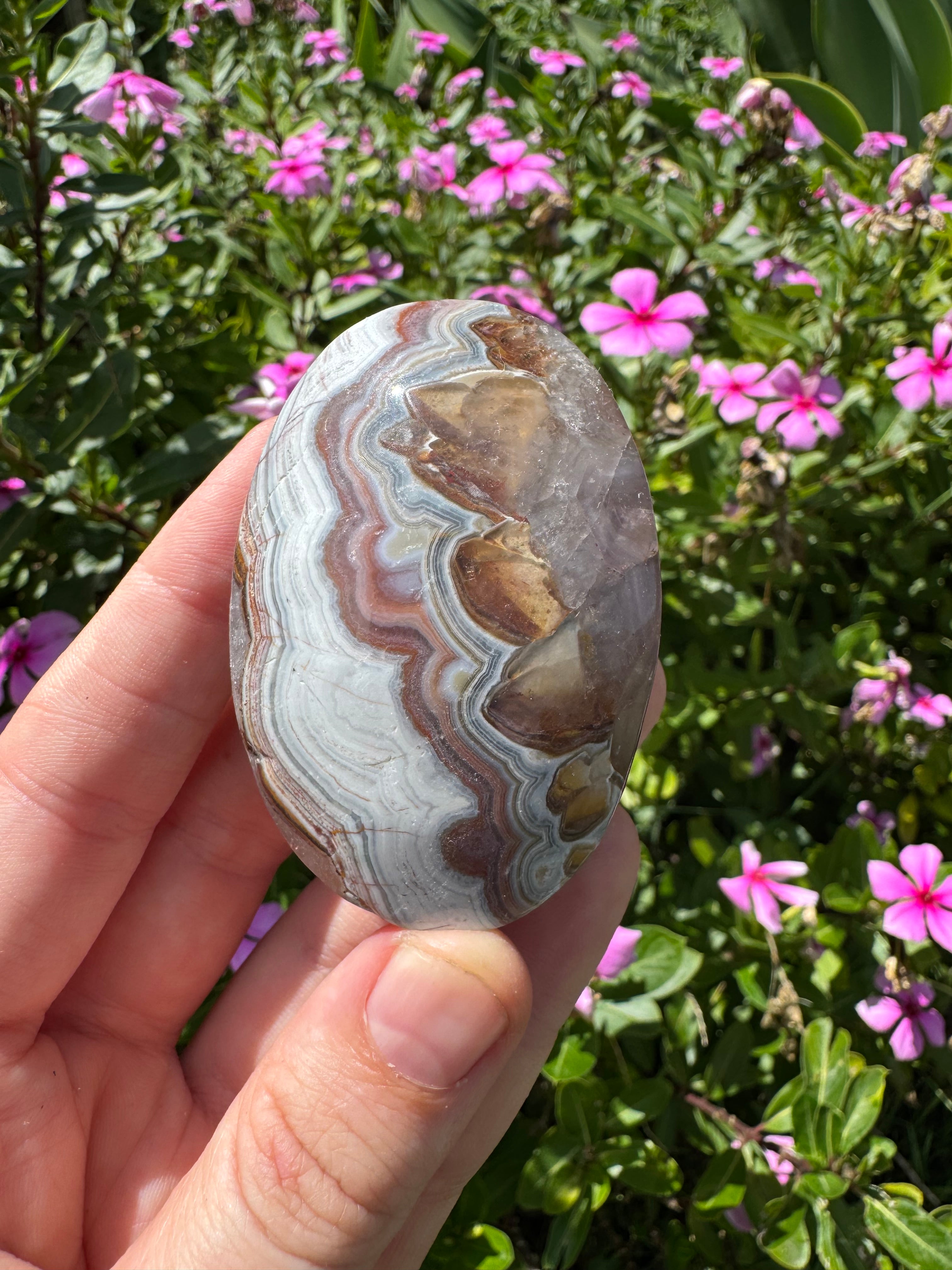 Mexican Agate And Amethyst Palm Stone
