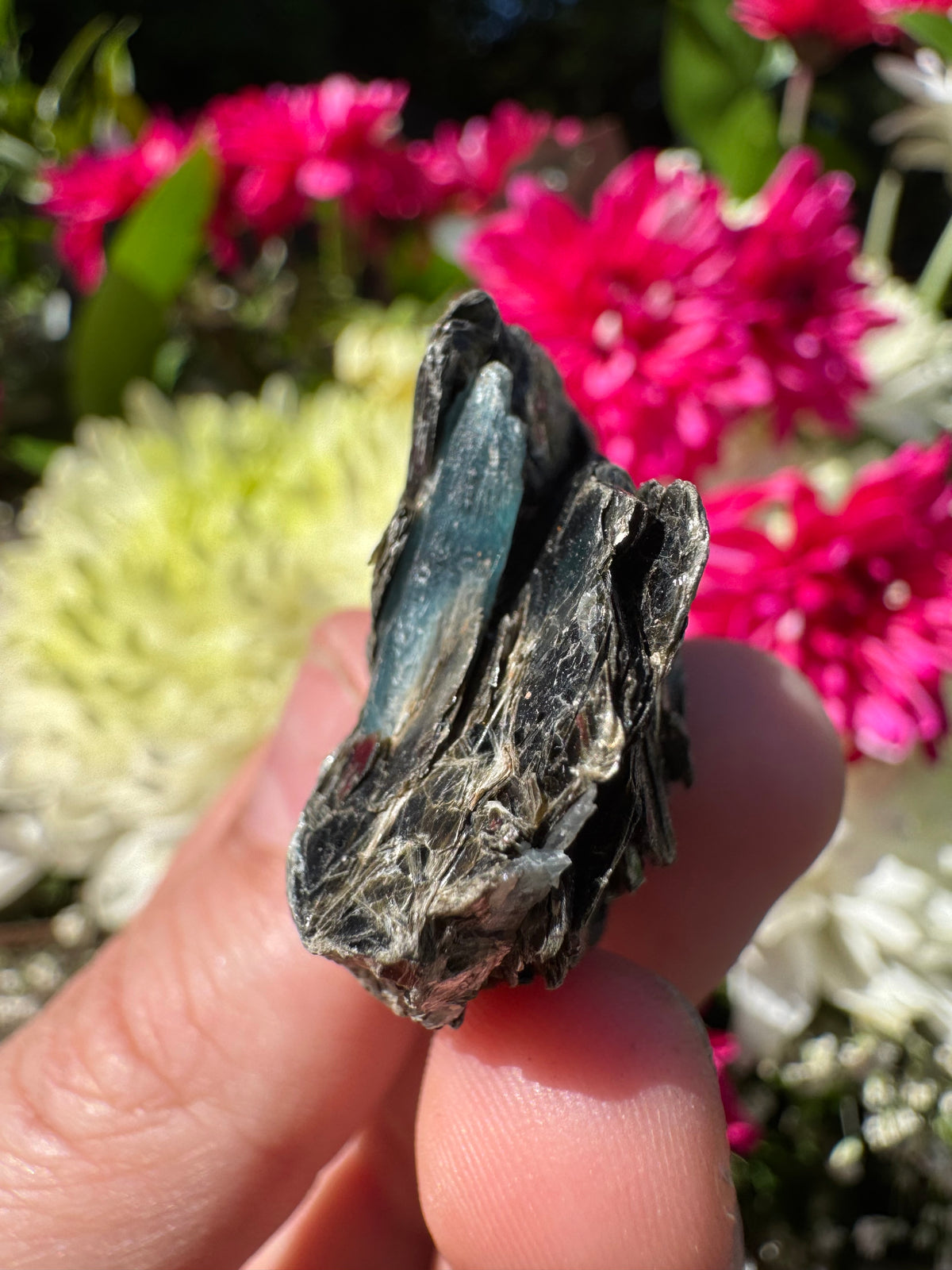 Ocean Kyanite Specimen – Mount Riddock