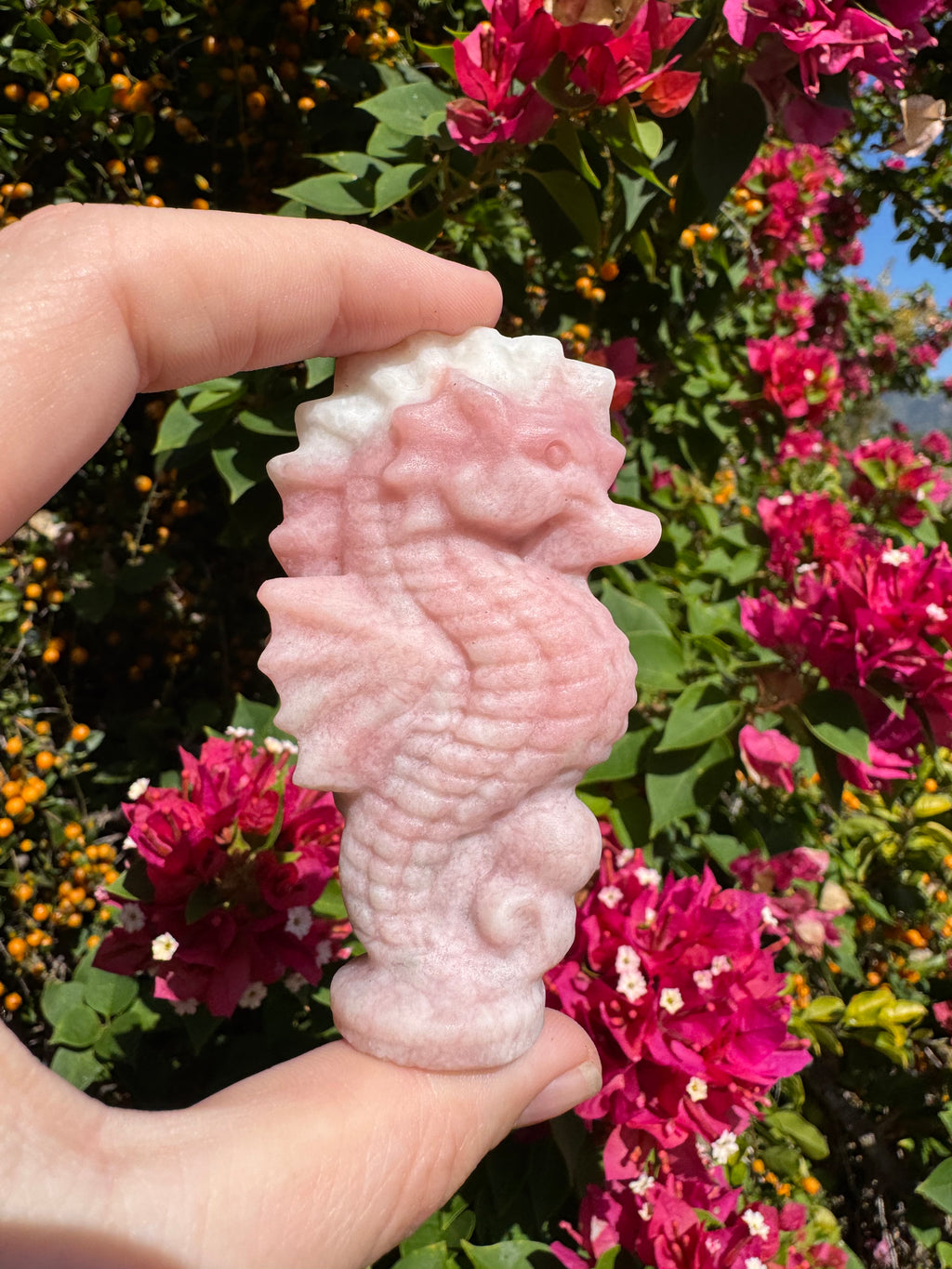 Pink Opal Seahorse Carving