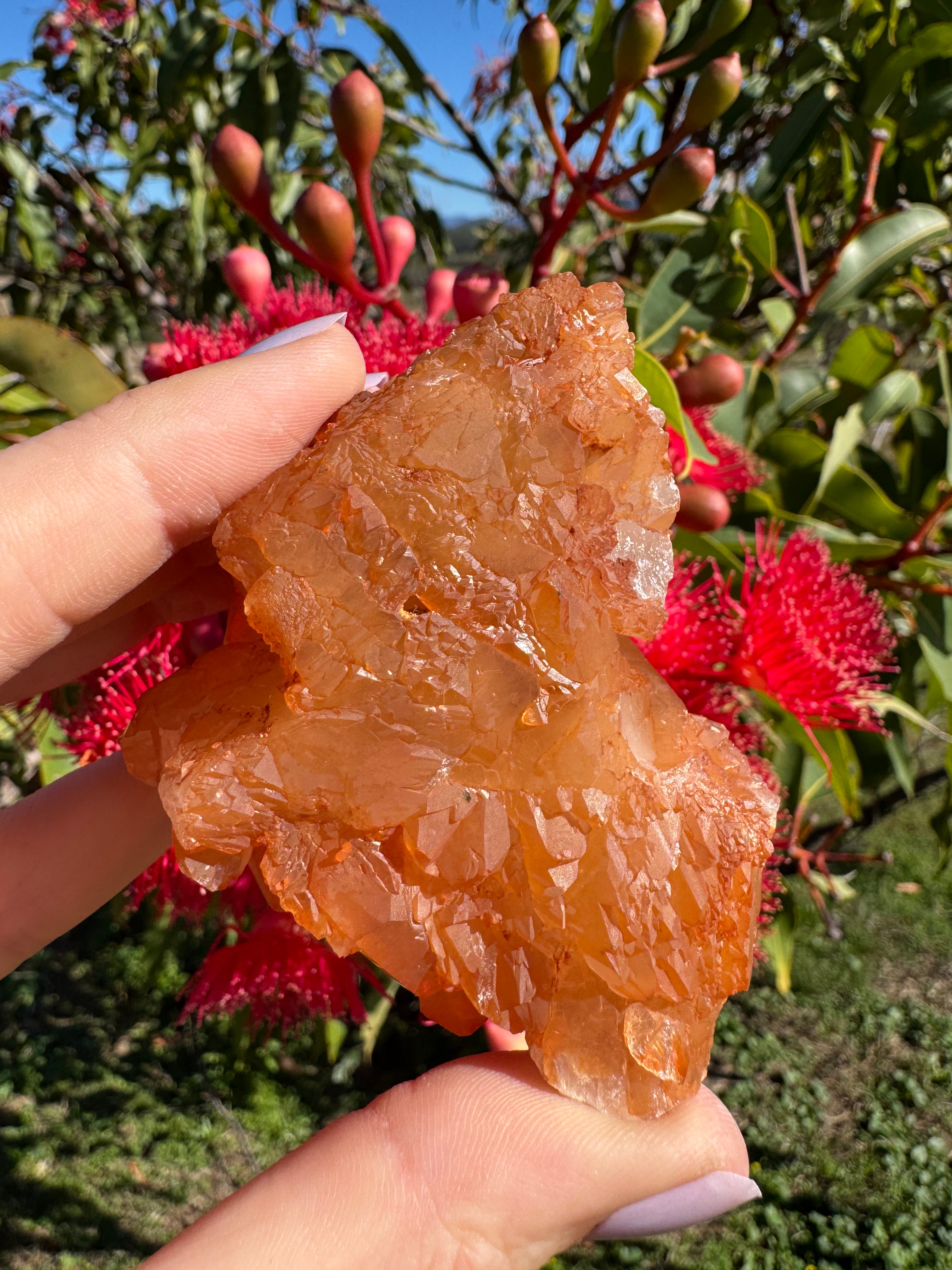 Tangerine Quartz Cluster