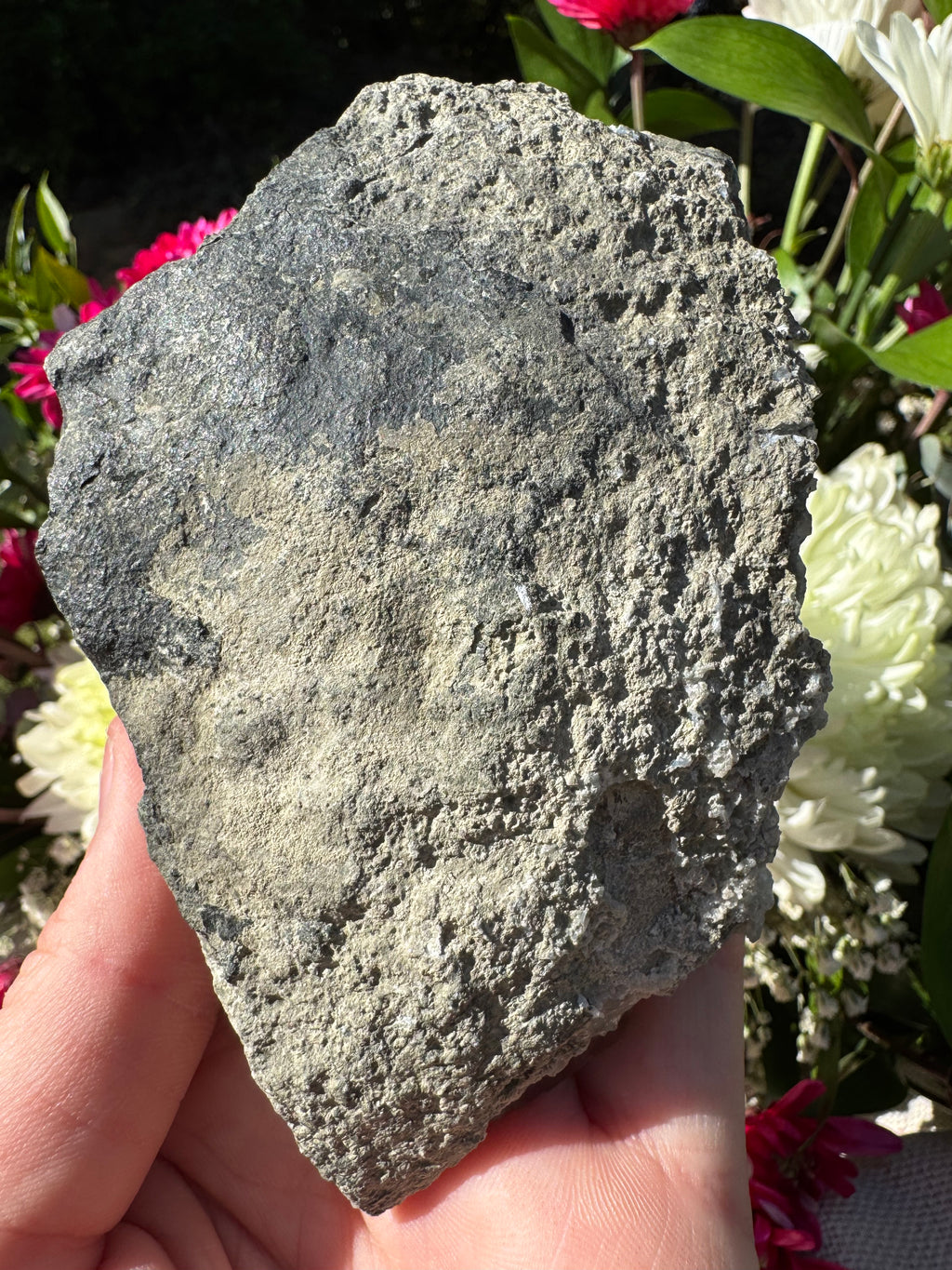 Amethyst Points With Botryoidal Green Fluorite Specimen - Brandberg
