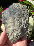 Amethyst Points With Botryoidal Green Fluorite Specimen - Brandberg