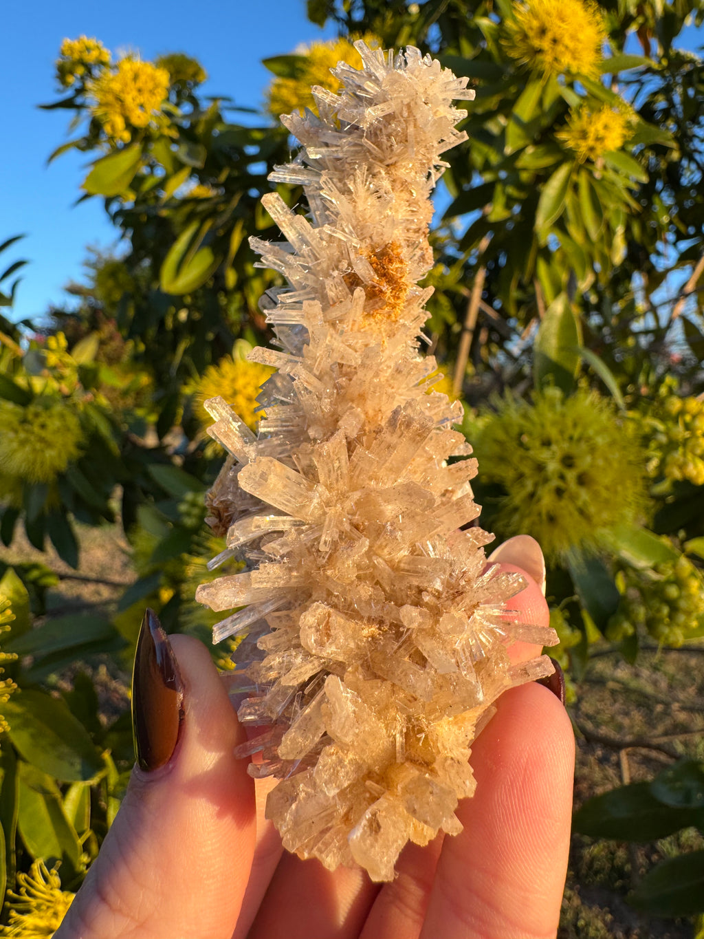 Selenite ‘Gypsum’ Natural Specimen - Chillingollah