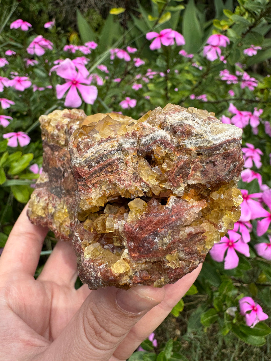 Yellow Cubic Fluorite on Iron-Stained Quartz Specimen