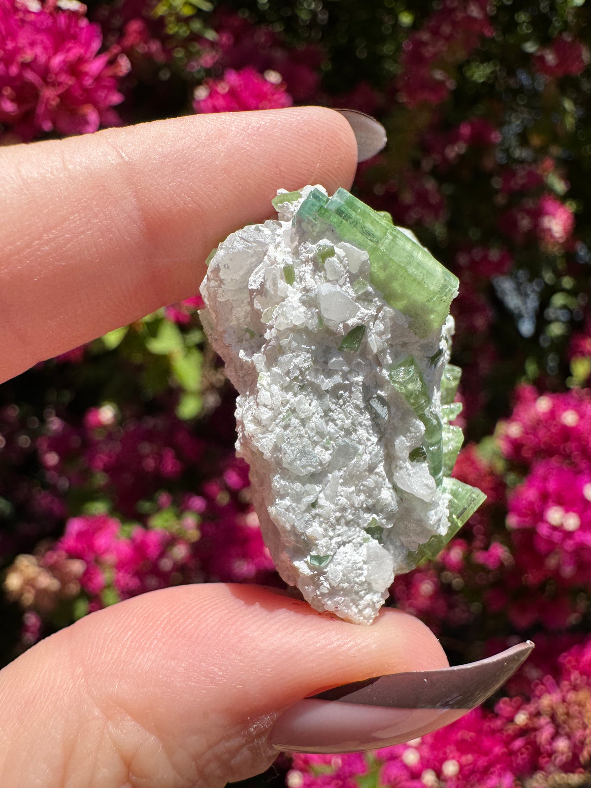 Spécimen de tourmaline verte avec kunzite sur matrice d'albite