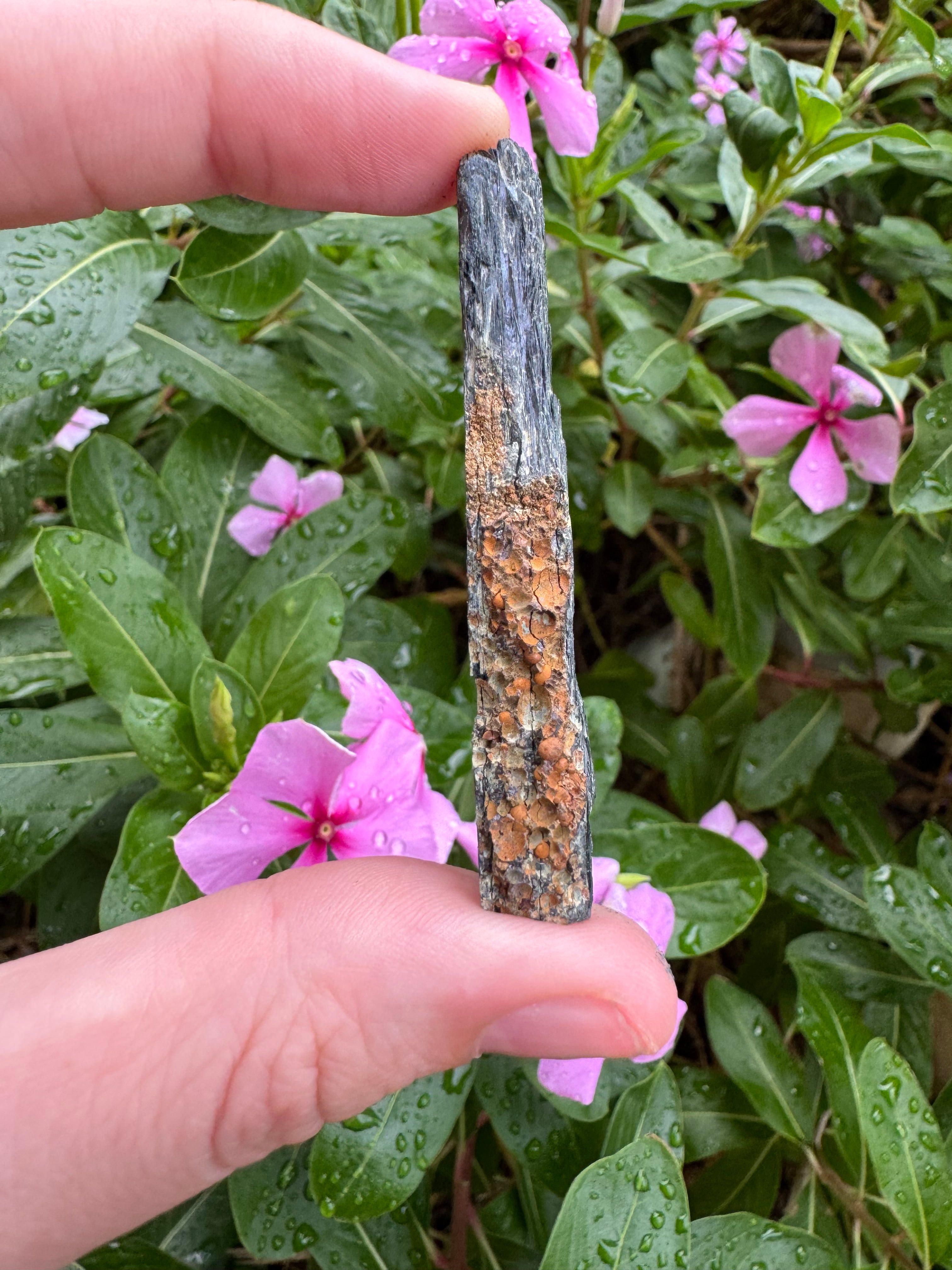 Vivianite Blade (12g)