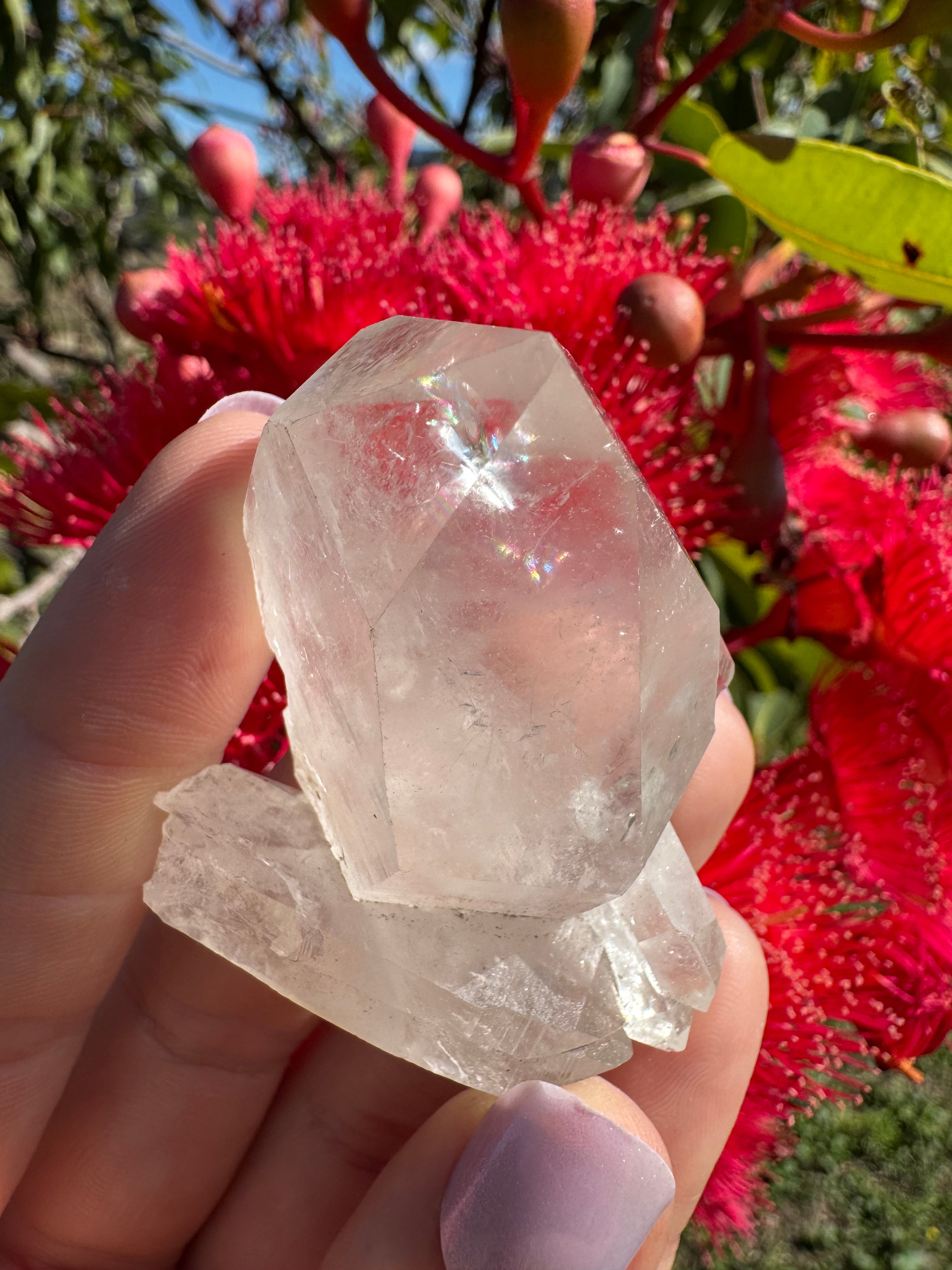 Himalayan Quartz Cluster