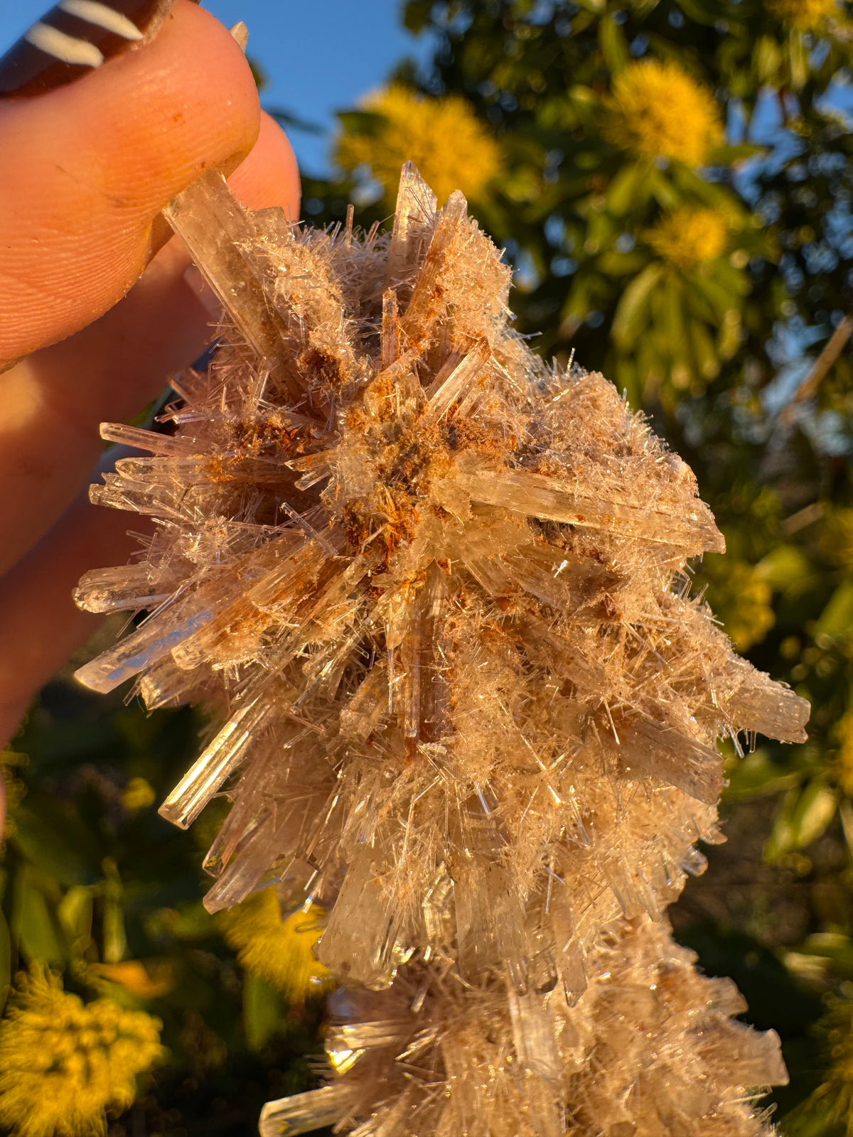 Selenite ‘Gypsum’ Natural Specimen - Chillingollah
