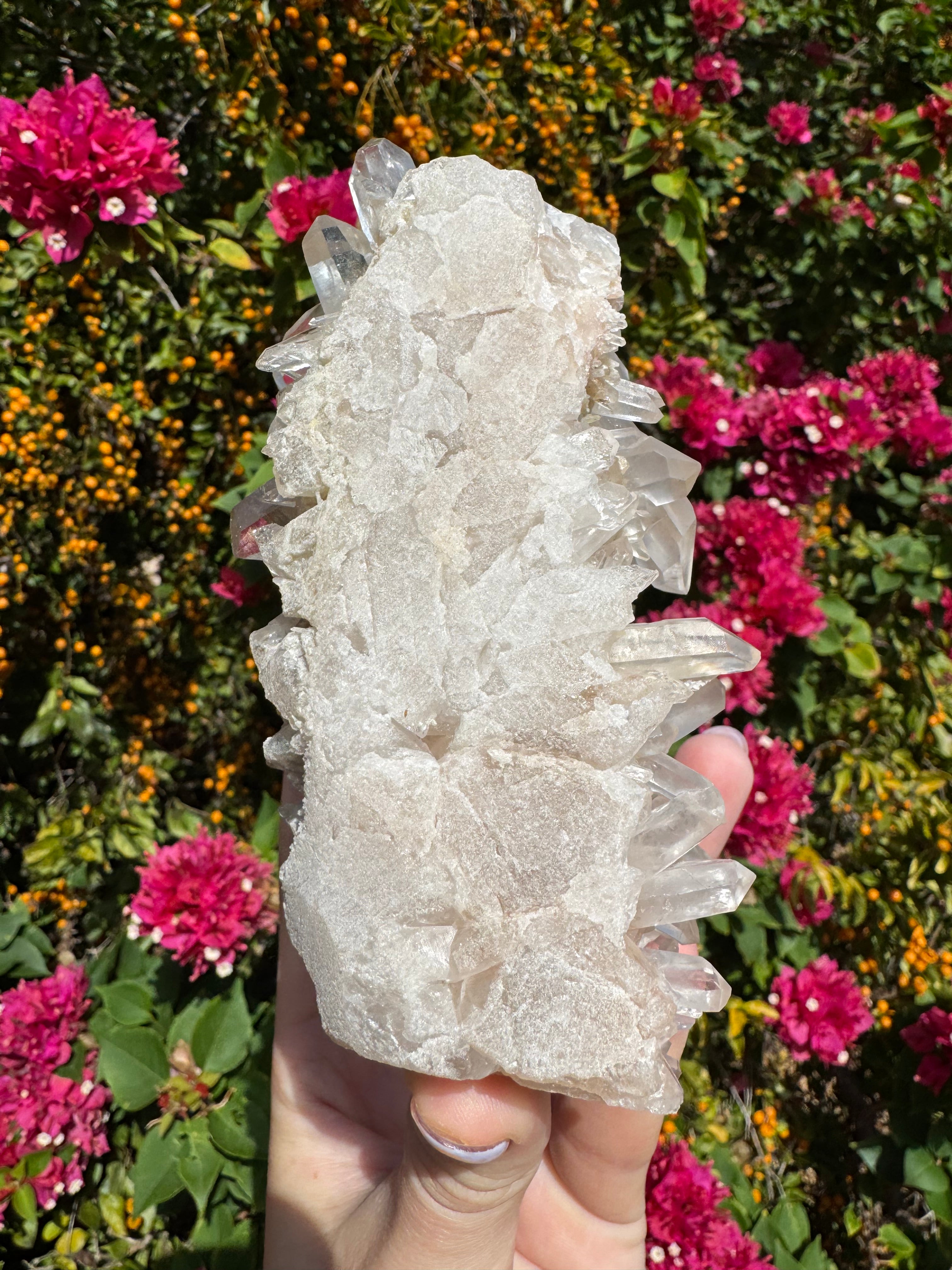 Pink Himalayan Samadhi Quartz Cluster