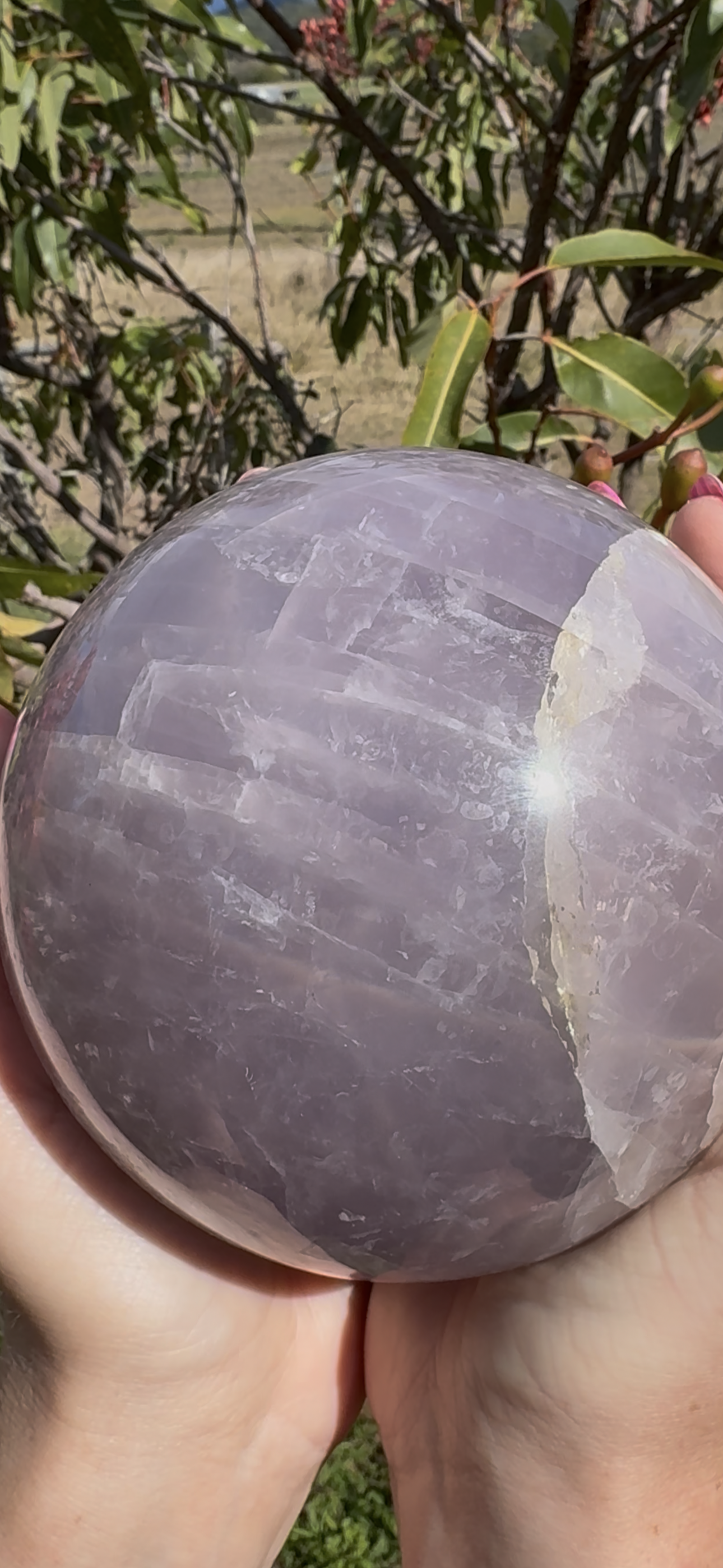 Lavender Rose Quartz Asterism Sphere - Statement 2.9kg