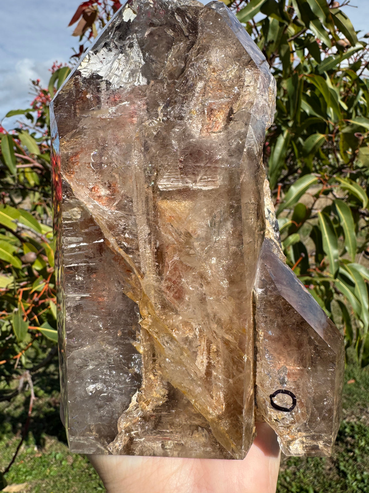 Rare Windowed Included Smoky Quartz Freeform - Triple Enhydro
