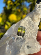 Green Tourmaline Twins In Quartz Specimen | Stak Nala