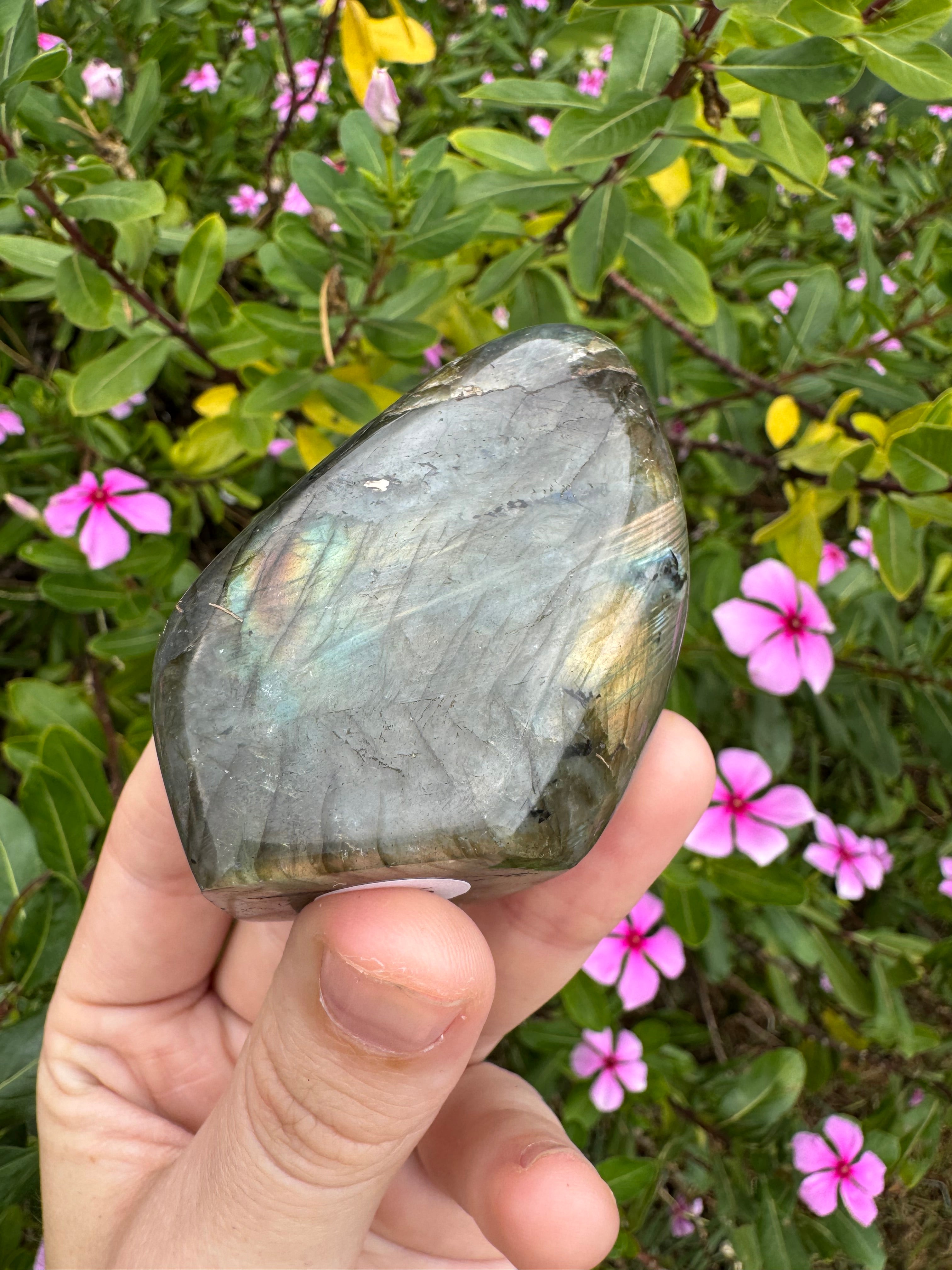 Labradorite Standing Freeform