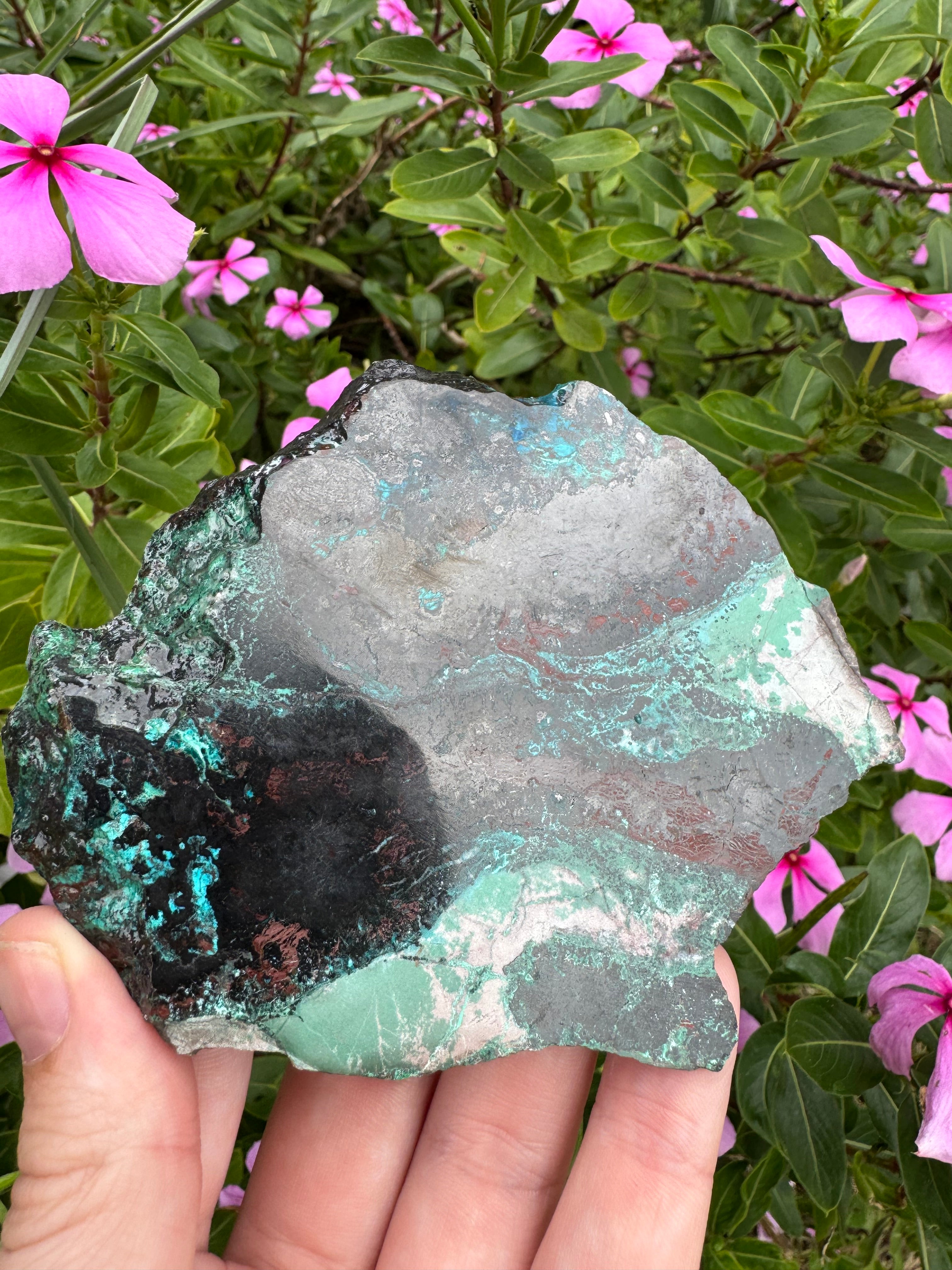 Shattuckite Slice with Stand