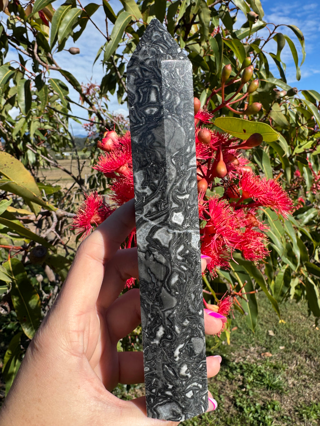 Black Crazy Lace Agate Generator