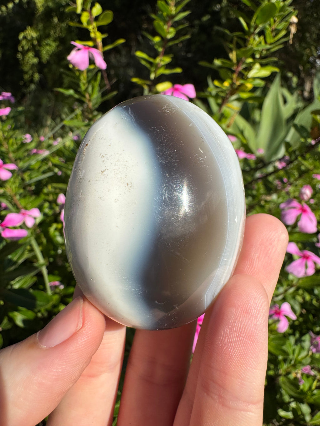 Orca Agate Palm Stone