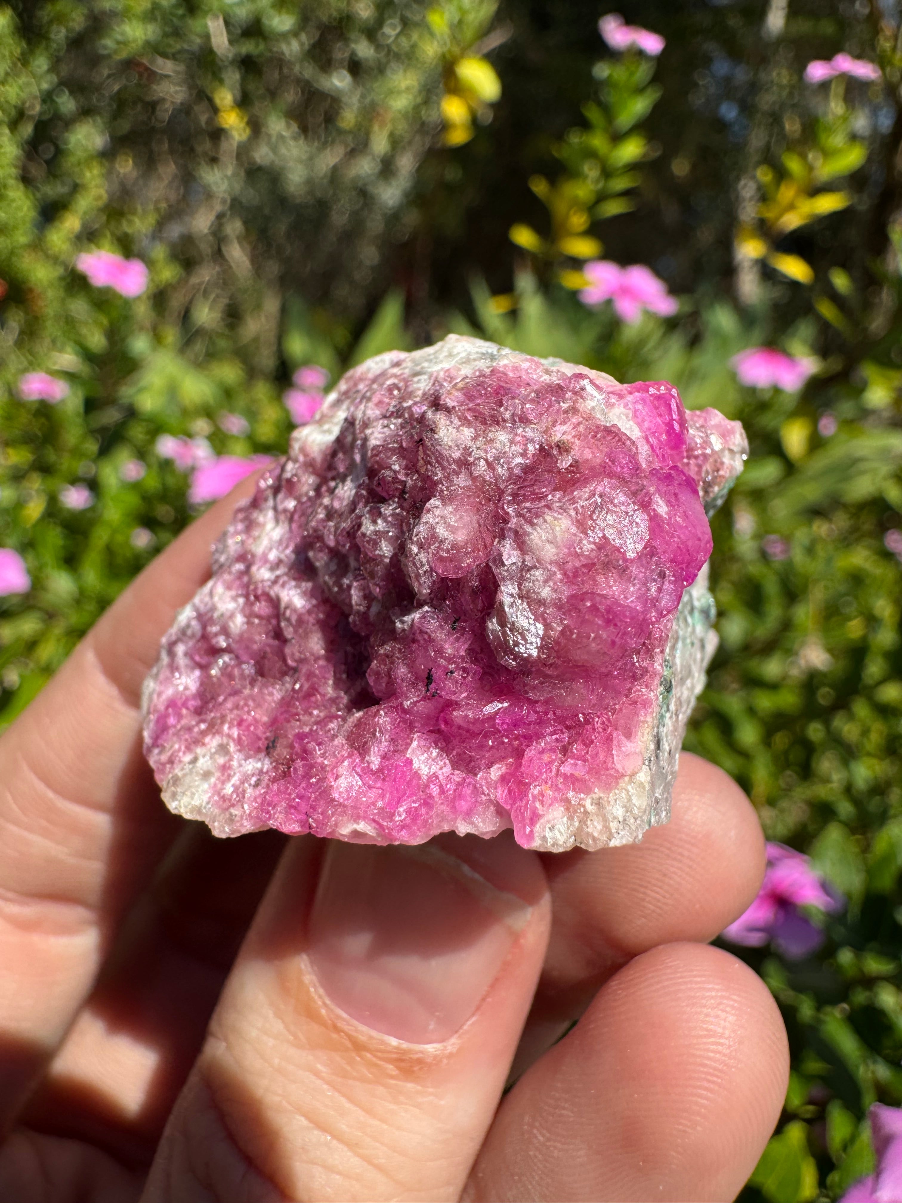 Cobalt Calcite Specimen - AAA Grade