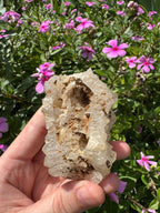 Pyrite on Quartz Specimen - High Quality