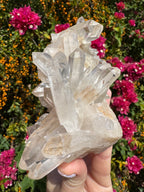 Pink Himalayan Samadhi Quartz Cluster