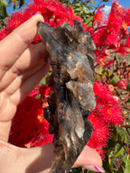 Deep Black Smoky Quartz with Hematite Cluster
