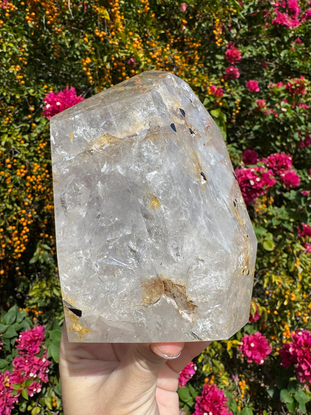 Inclusion Quartz Freeform - Black Tourmaline Rods