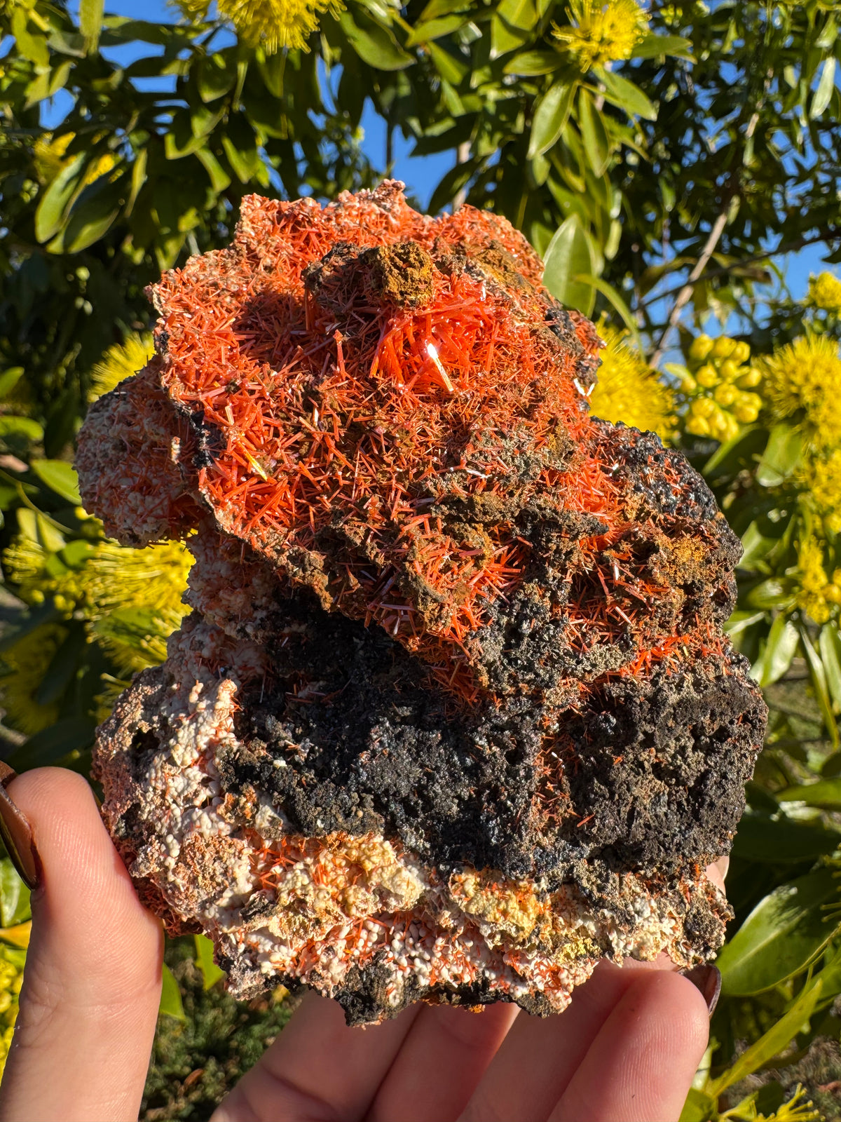Crocoite Specimen | Tasmania