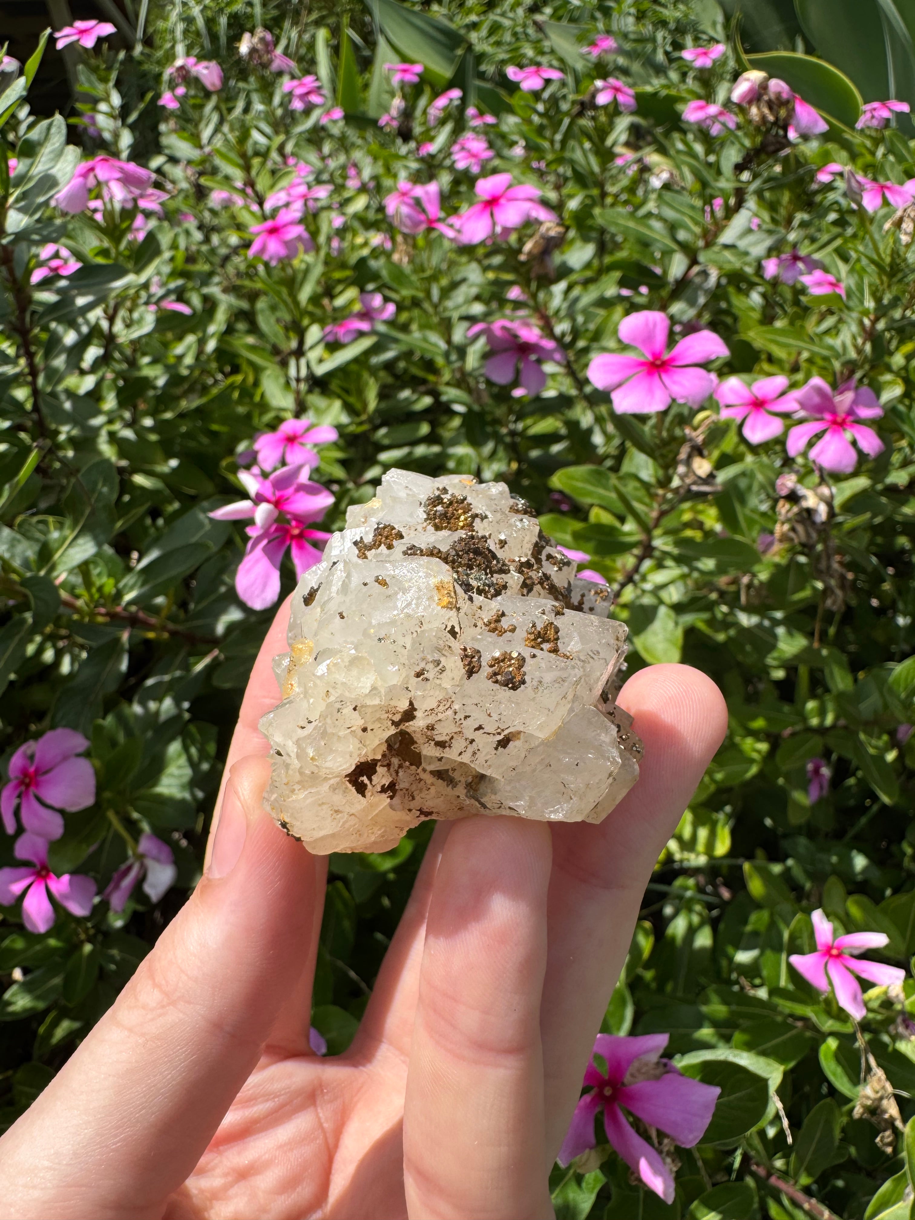 Pyrite on Quartz Specimen - High Quality