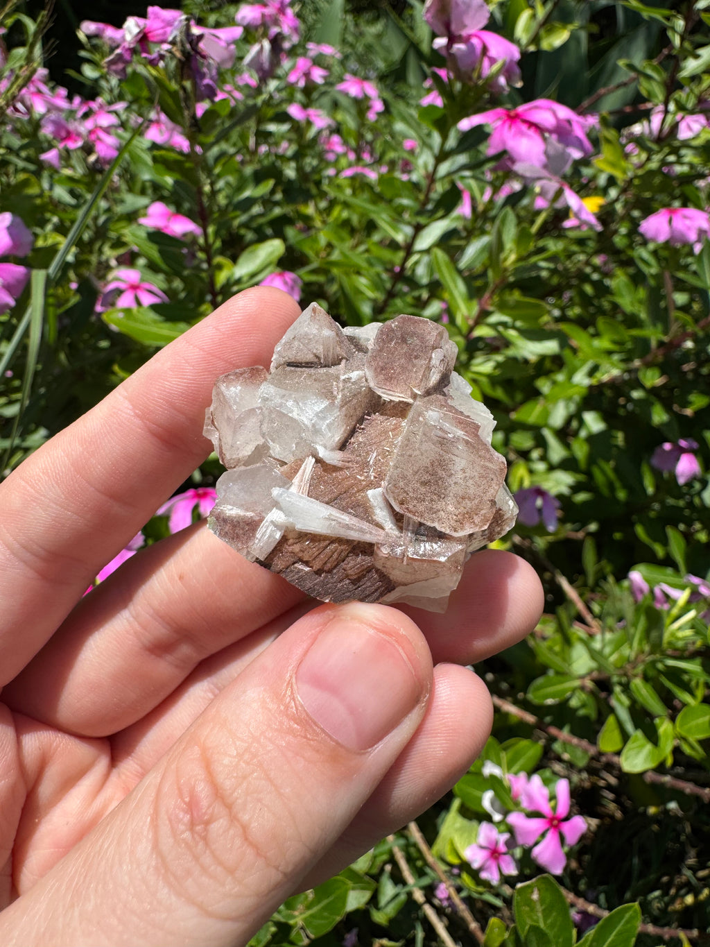 Red Phantom Apophyllite With Scolecite Specimen