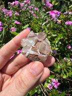 Red Phantom Apophyllite With Scolecite Specimen