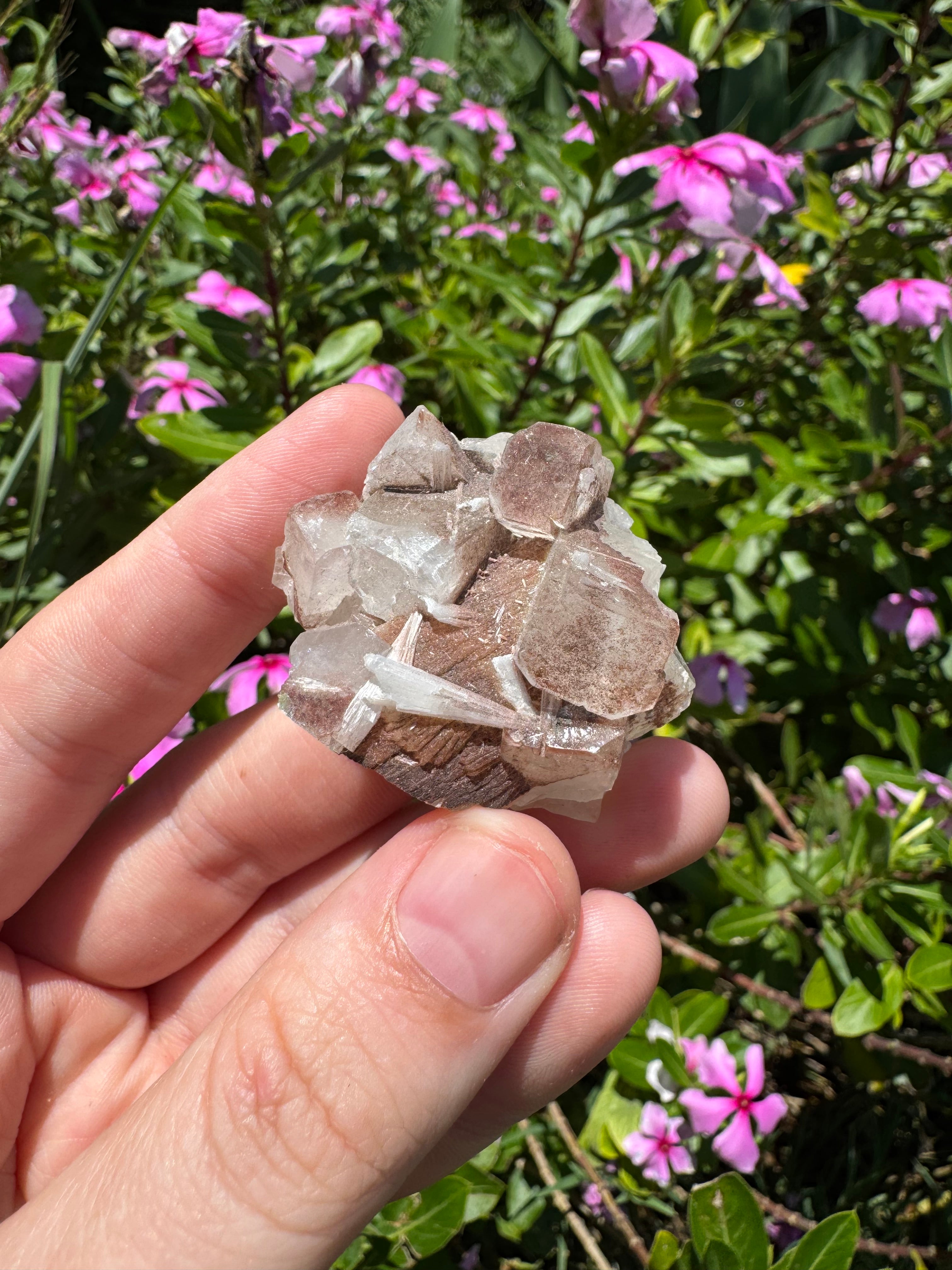 Red Phantom Apophyllite With Scolecite Specimen