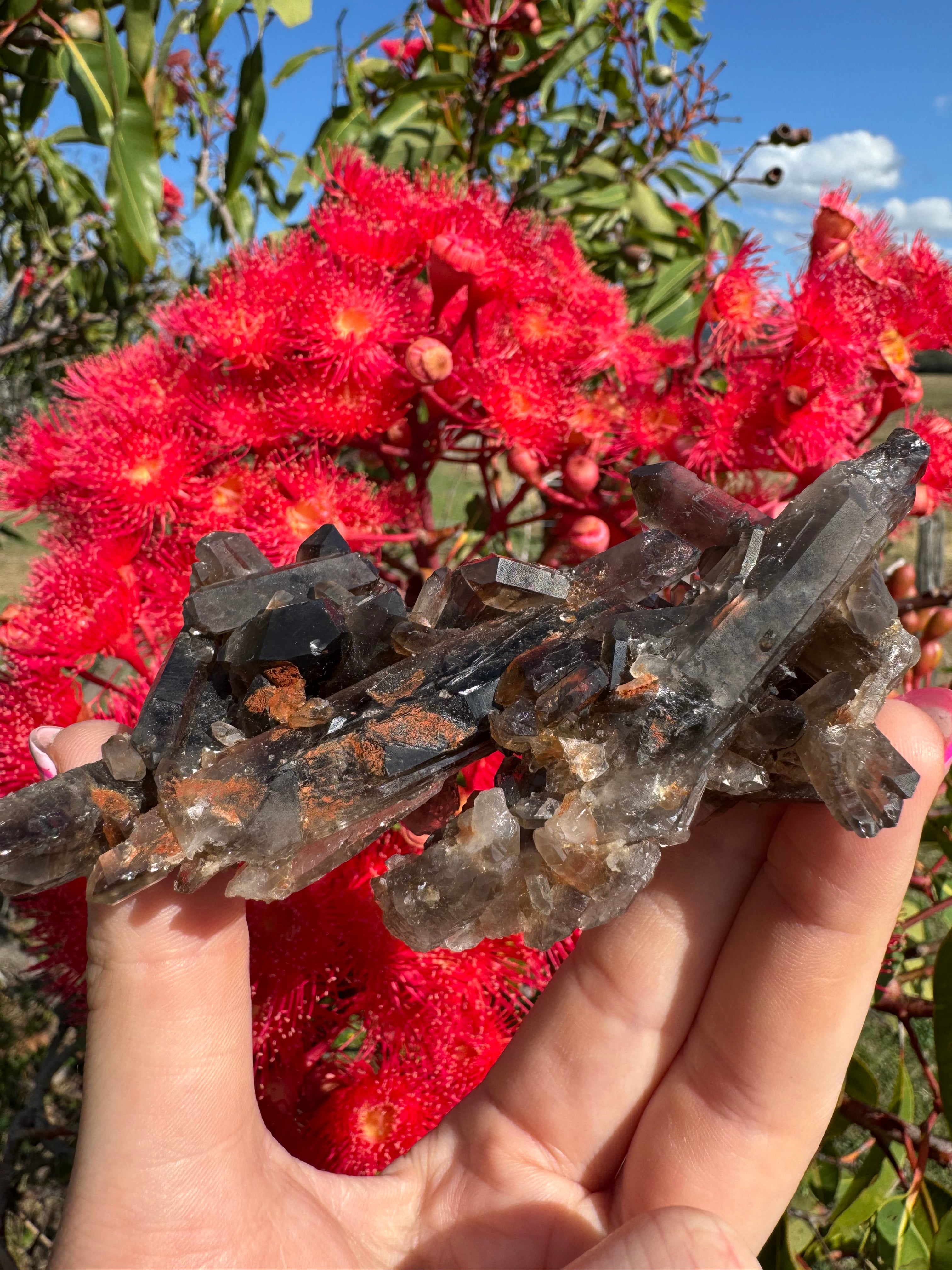 Deep Black Smoky Quartz with Hematite Cluster
