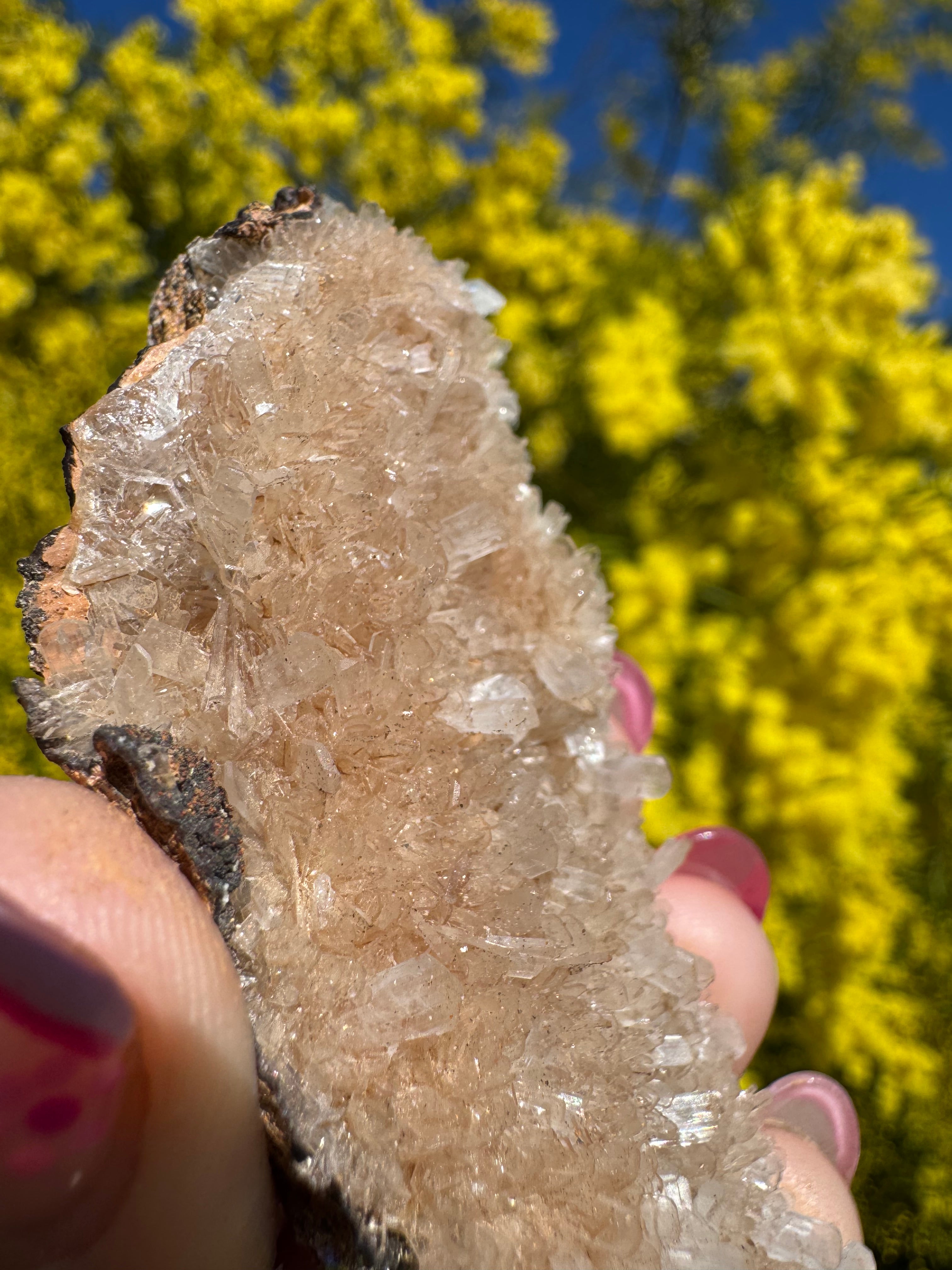 Clear Hemimorphite Cluster - Durango Mexico